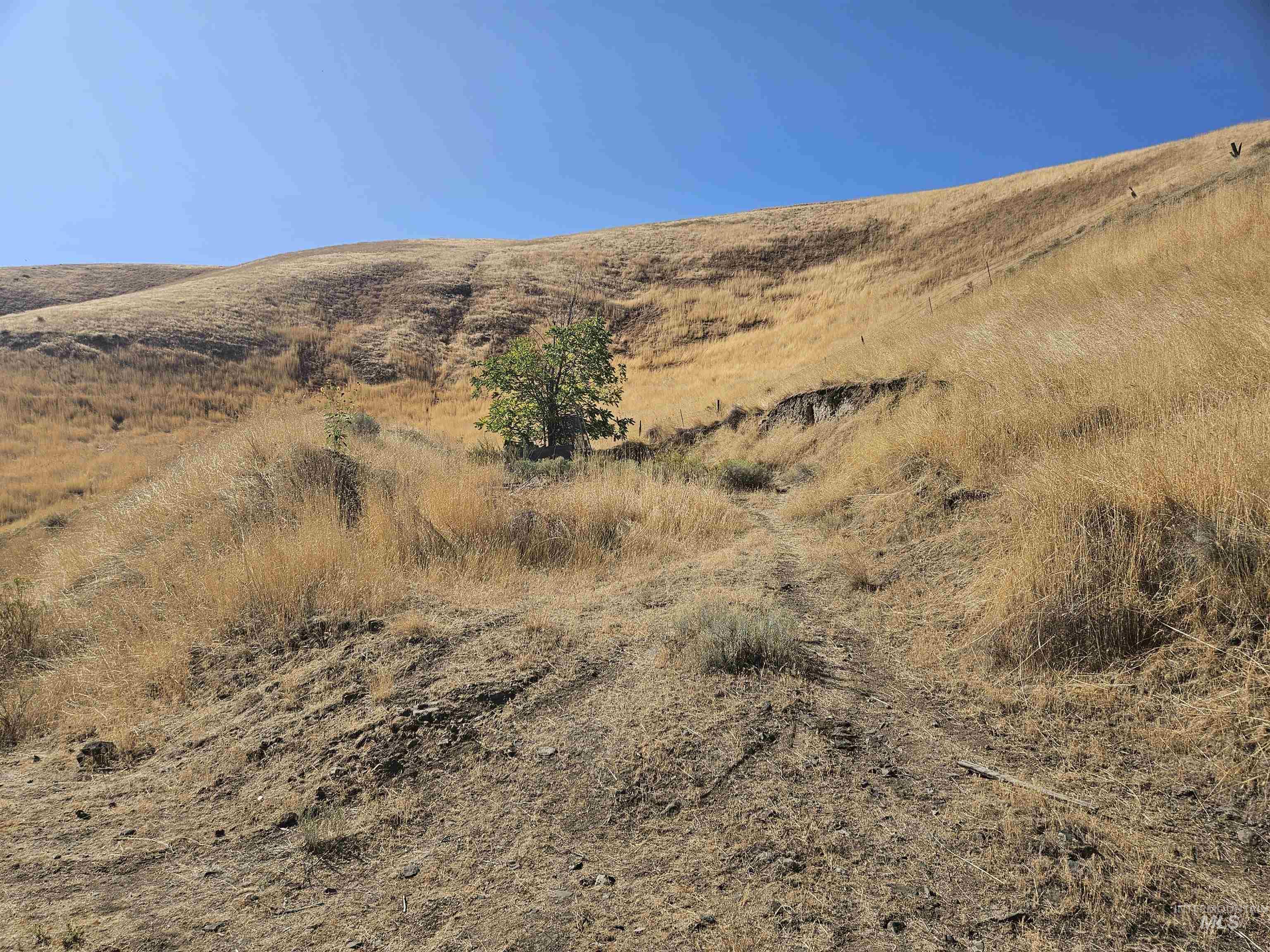 TBD Garfield St, Asotin, Washington 99402, Land For Sale, Price $175,000,MLS 98982989