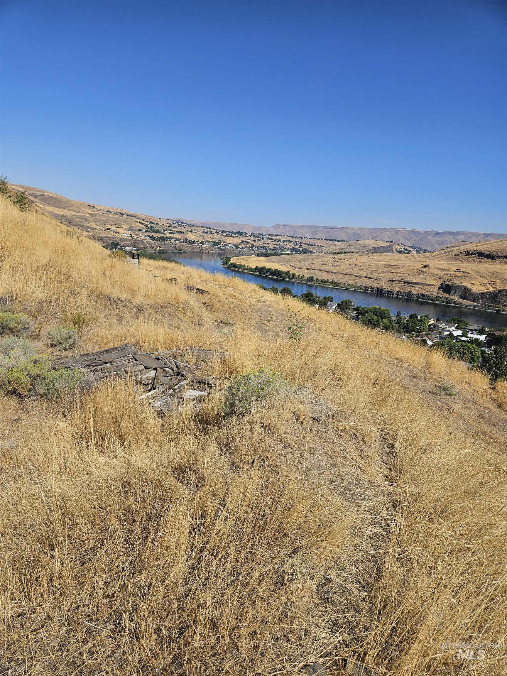 TBD Garfield St, Asotin, Washington 99402, Land For Sale, Price $175,000,MLS 98982989