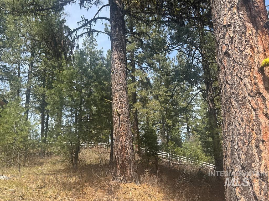 474 Timbercrest Loop, McCall, Idaho 83638-0000, Land For Sale, Price $349,900,MLS 98982997