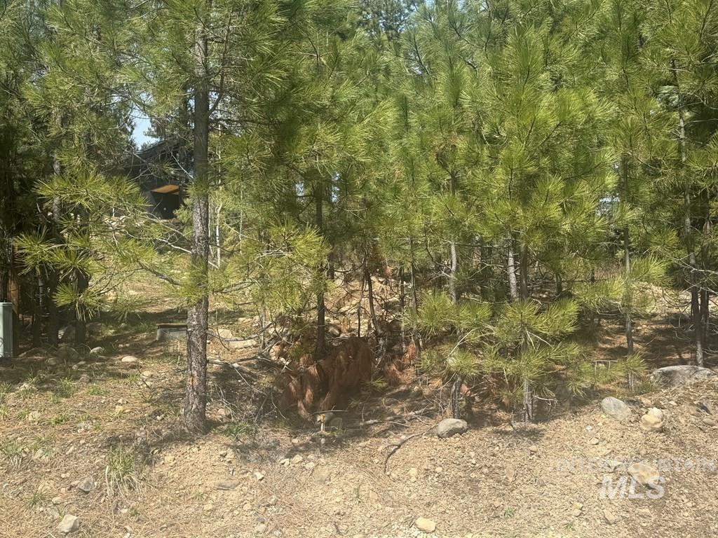 474 Timbercrest Loop, McCall, Idaho 83638-0000, Land For Sale, Price $349,900,MLS 98982997