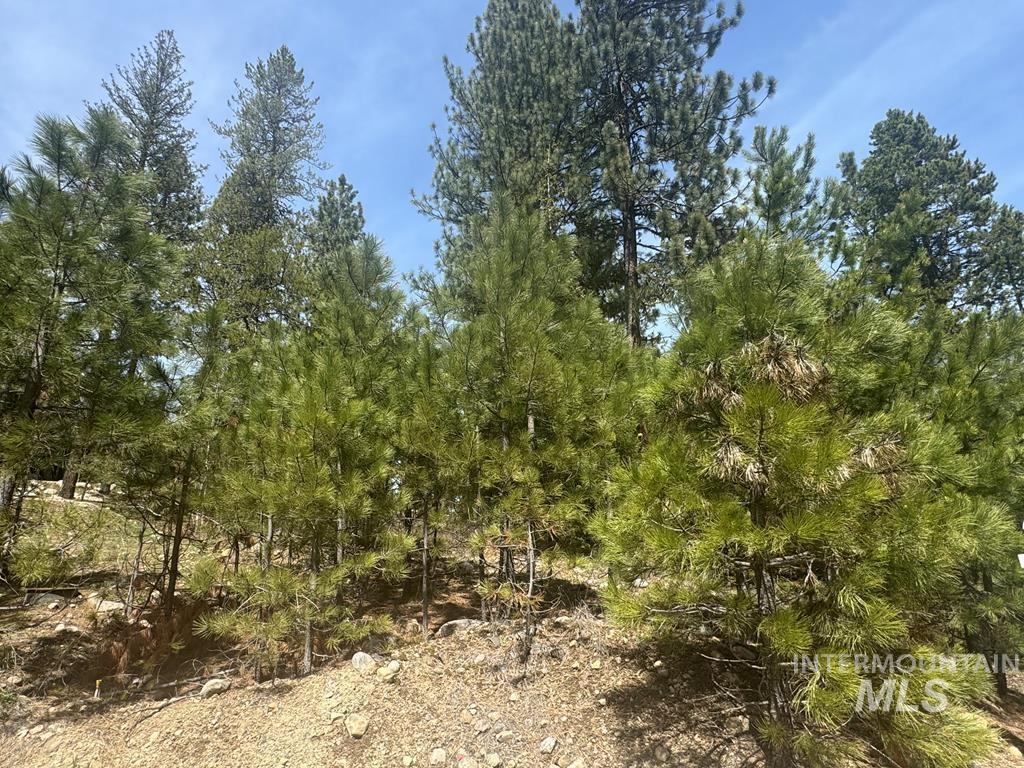 474 Timbercrest Loop, McCall, Idaho 83638-0000, Land For Sale, Price $349,900,MLS 98982997