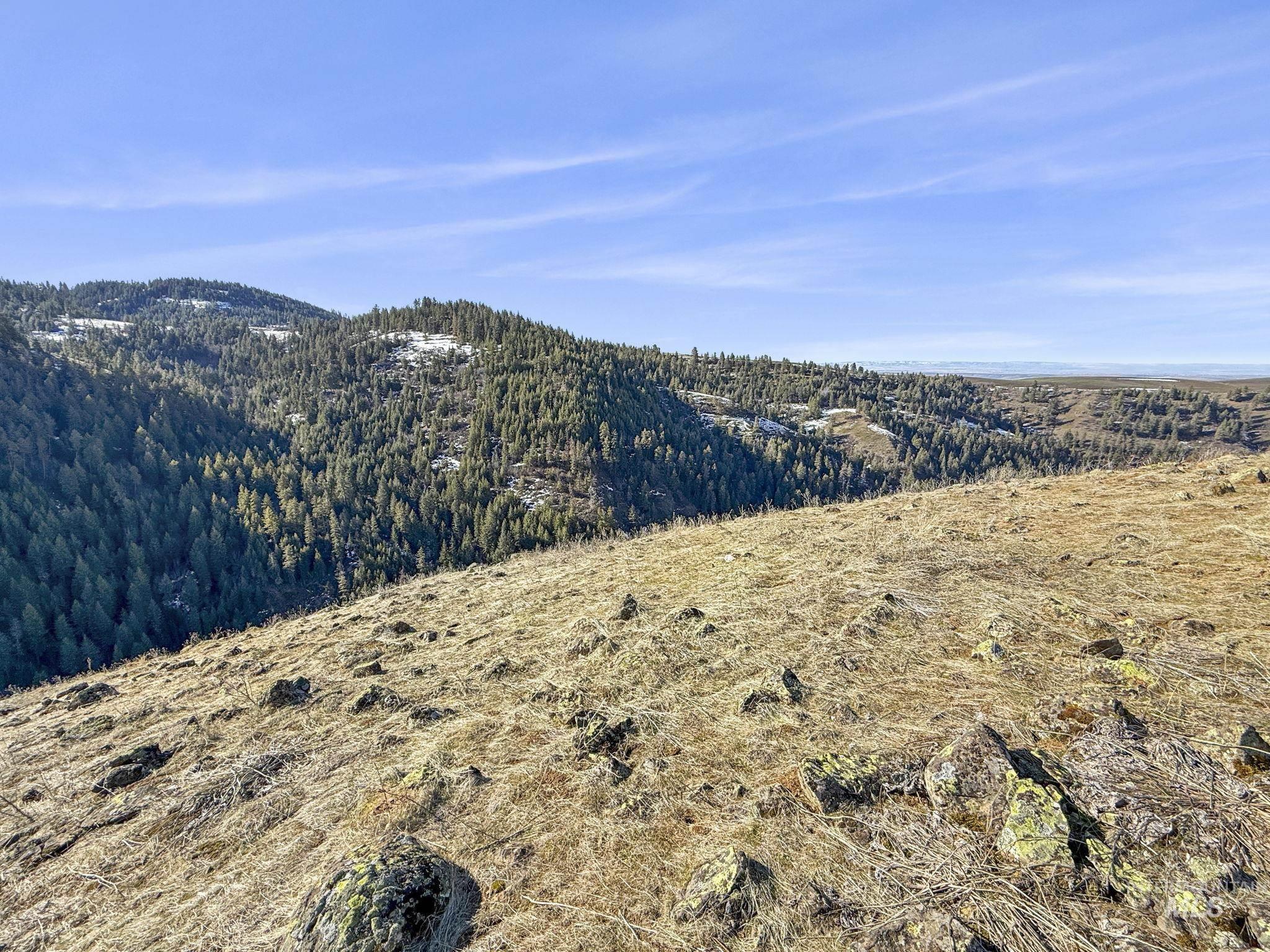 TBD Old Culdesac Road, Culdesac, Idaho 83524, Land For Sale, Price $315,000,MLS 98983045