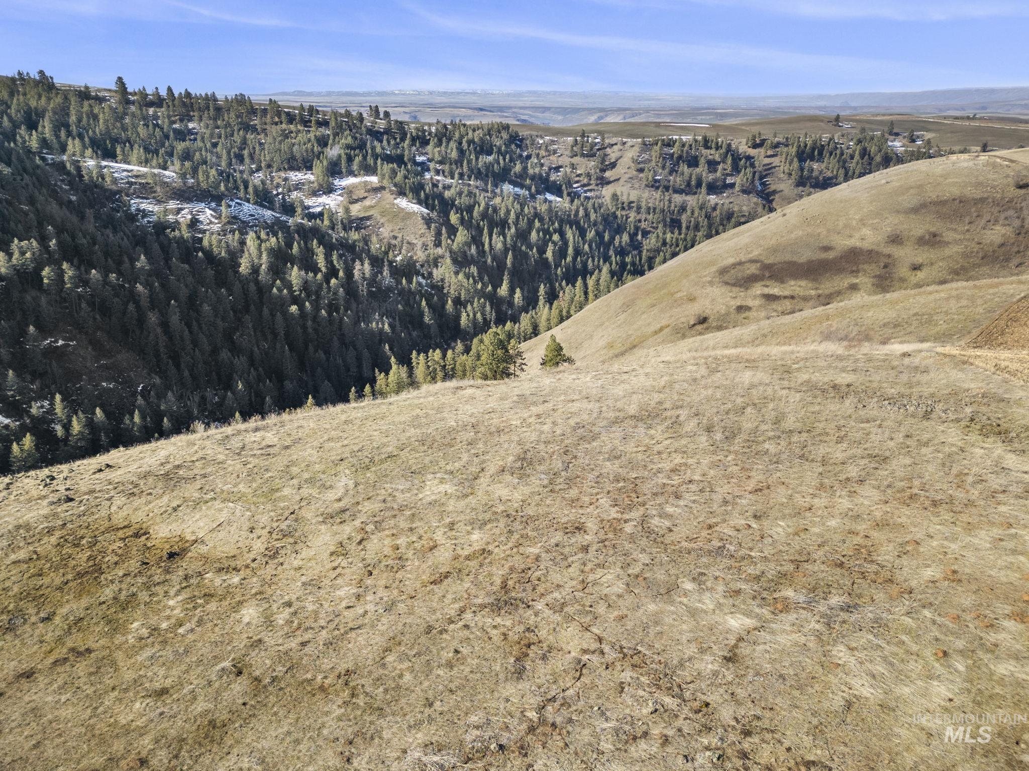 TBD Old Culdesac Road, Culdesac, Idaho 83524, Land For Sale, Price $315,000,MLS 98983045