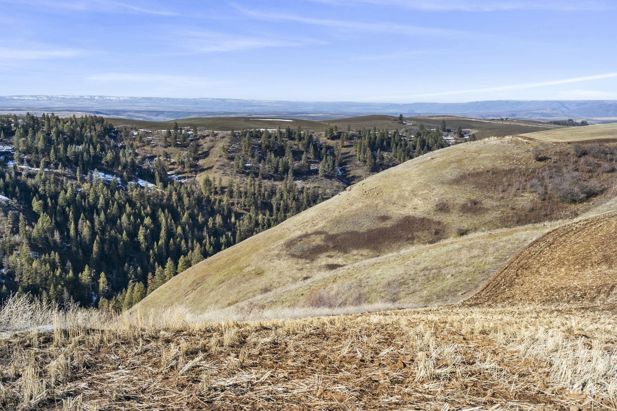 TBD Old Culdesac Road, Culdesac, Idaho 83524, Land For Sale, Price $315,000,MLS 98983045