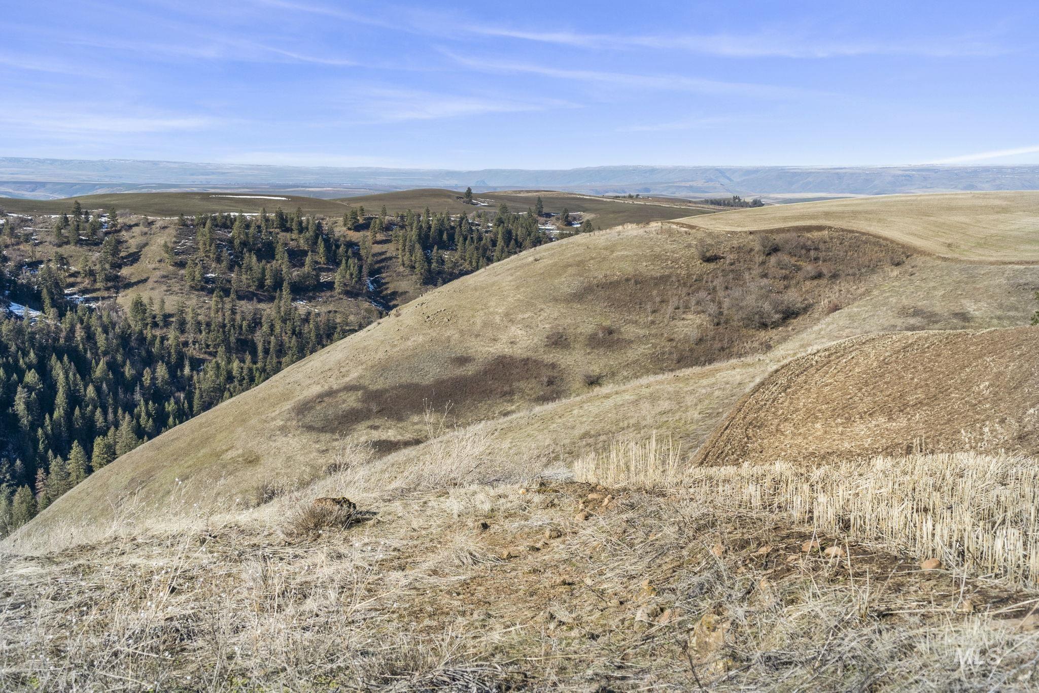 TBD Old Culdesac Road, Culdesac, Idaho 83524, Land For Sale, Price $315,000,MLS 98983045