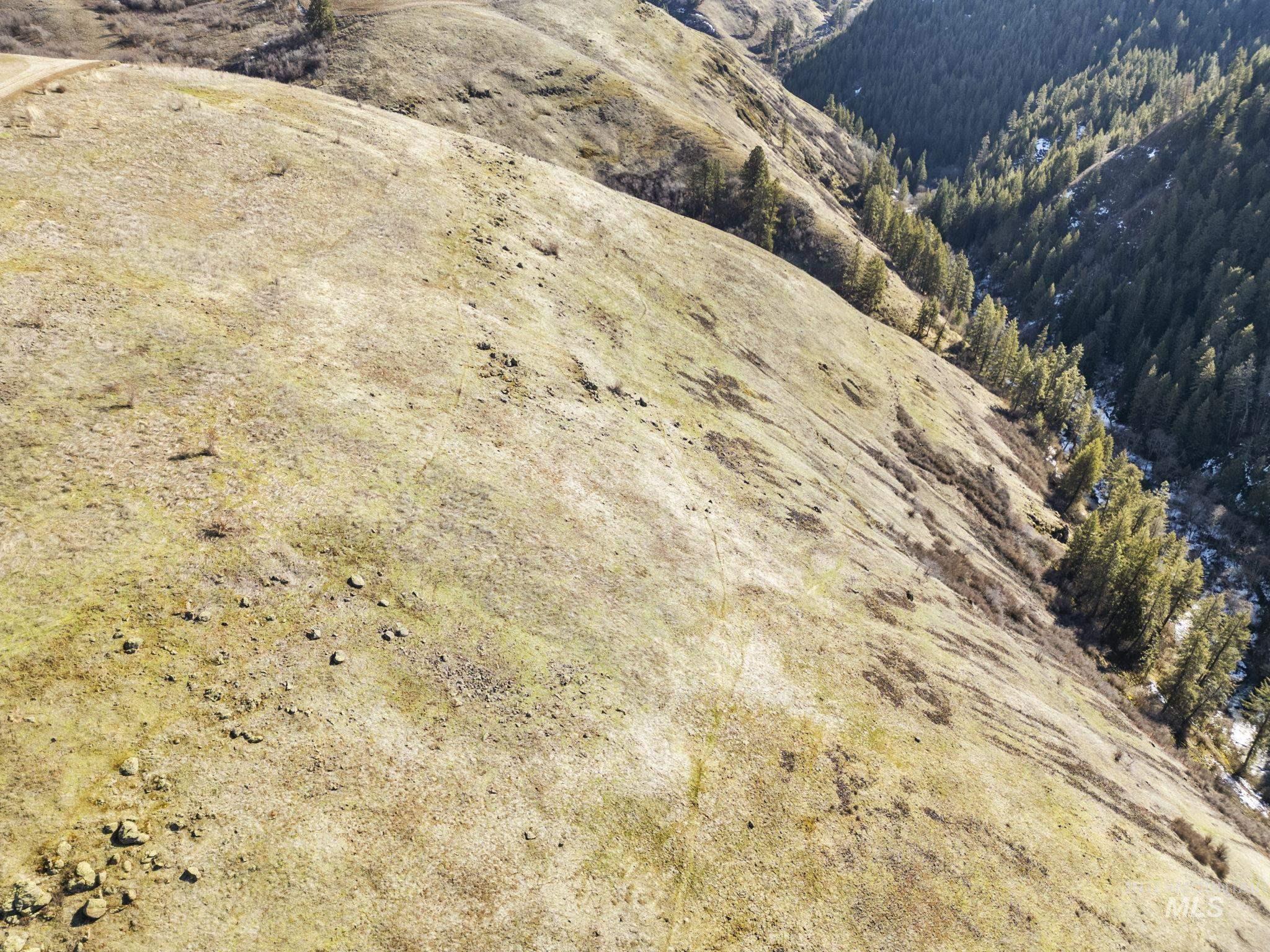 TBD Old Culdesac Road, Culdesac, Idaho 83524, Land For Sale, Price $315,000,MLS 98983045