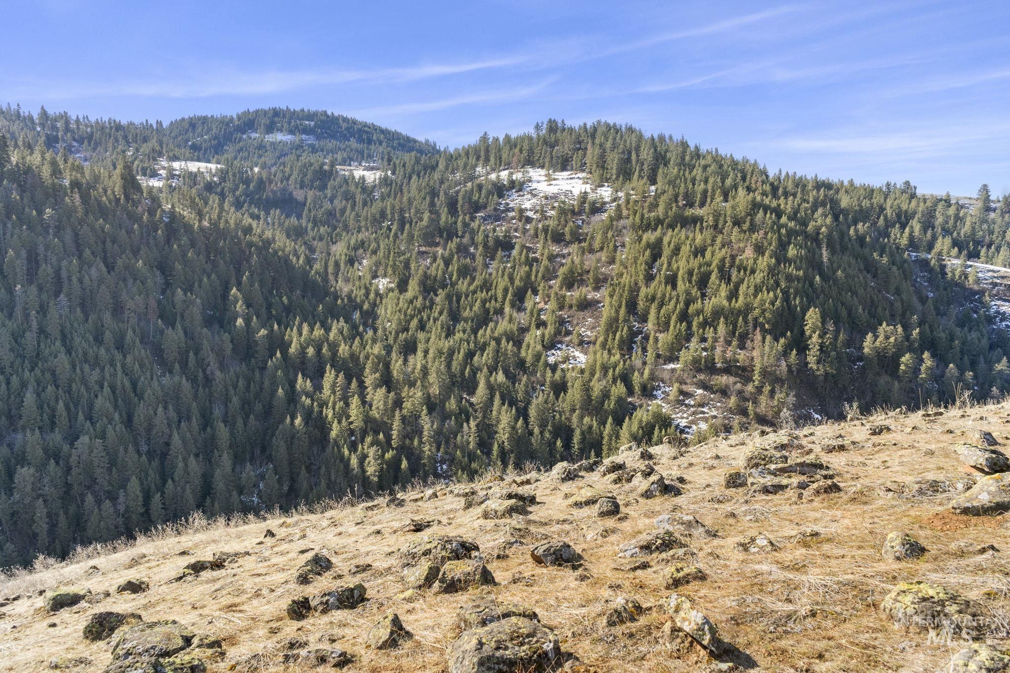 TBD Old Culdesac Road, Culdesac, Idaho 83524, Land For Sale, Price $315,000,MLS 98983045