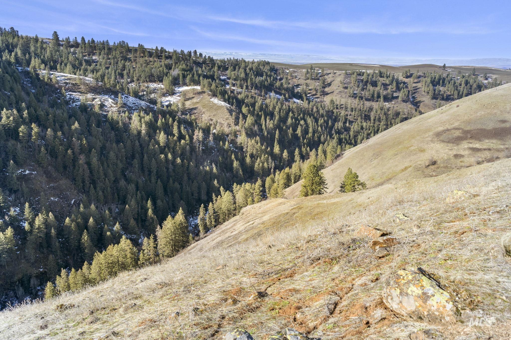 TBD Old Culdesac Road, Culdesac, Idaho 83524, Land For Sale, Price $315,000,MLS 98983045