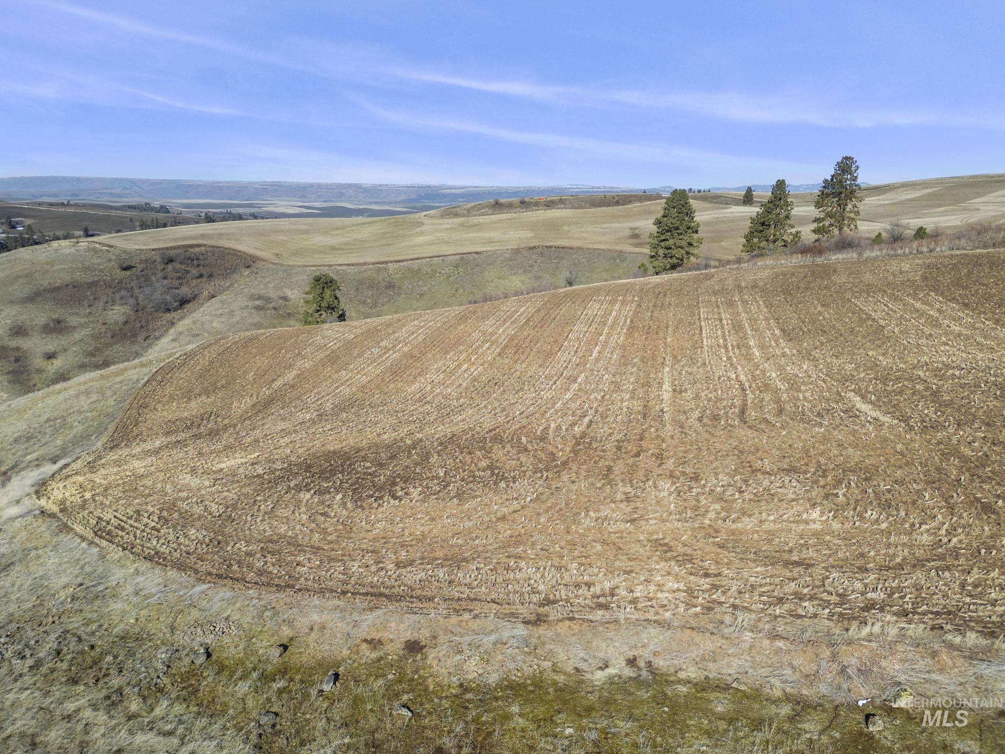 TBD Old Culdesac Road, Culdesac, Idaho 83524, Land For Sale, Price $315,000,MLS 98983045