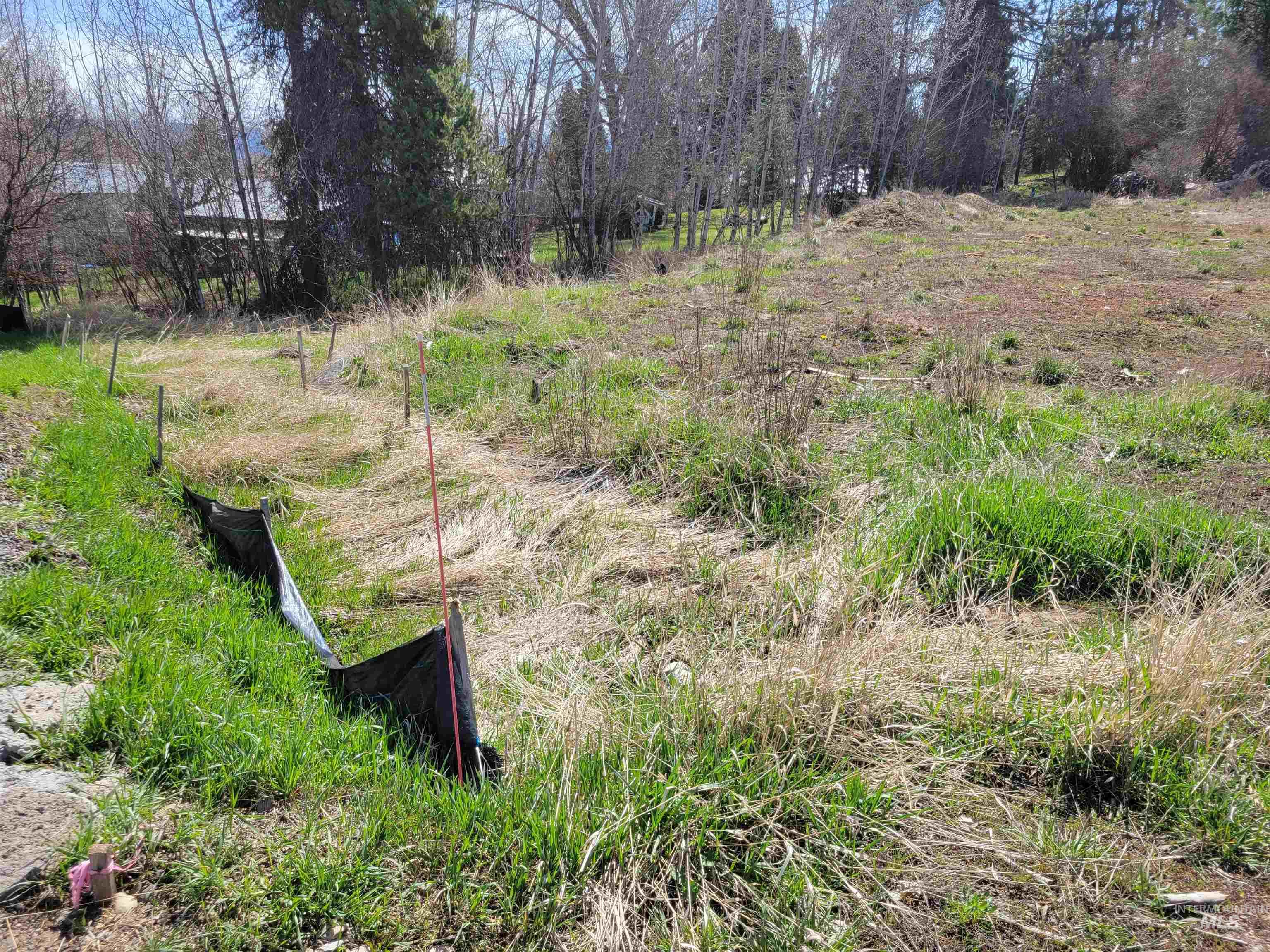 405 Antonette Circle, Cascade, Idaho 83611, Land For Sale, Price $179,000,MLS 98983072