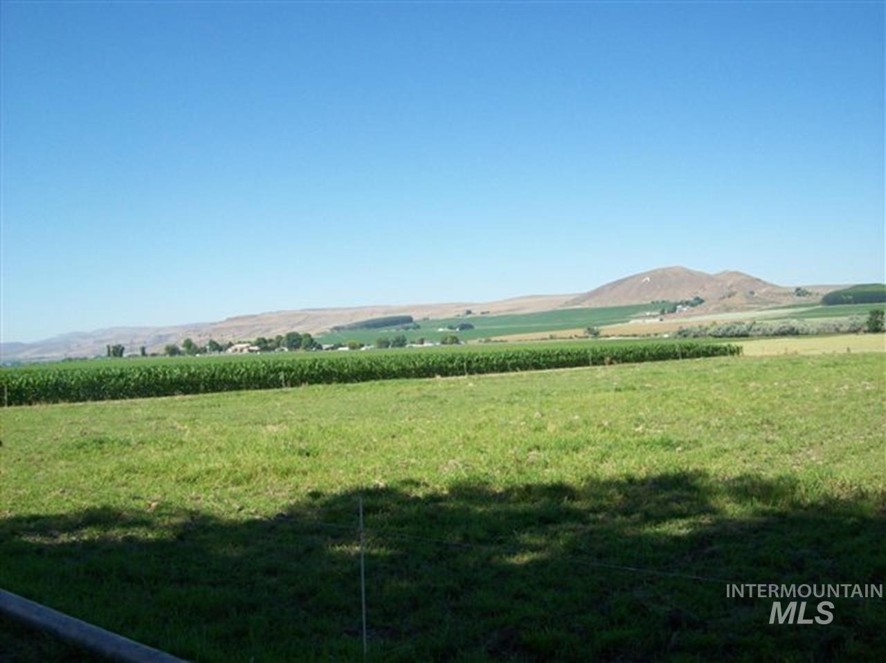 721 Mendiola, Nyssa, Oregon 97913, 3 Bedrooms, 1 Bathroom, Farm & Ranch For Sale, Price $1,100,000,MLS 98983099