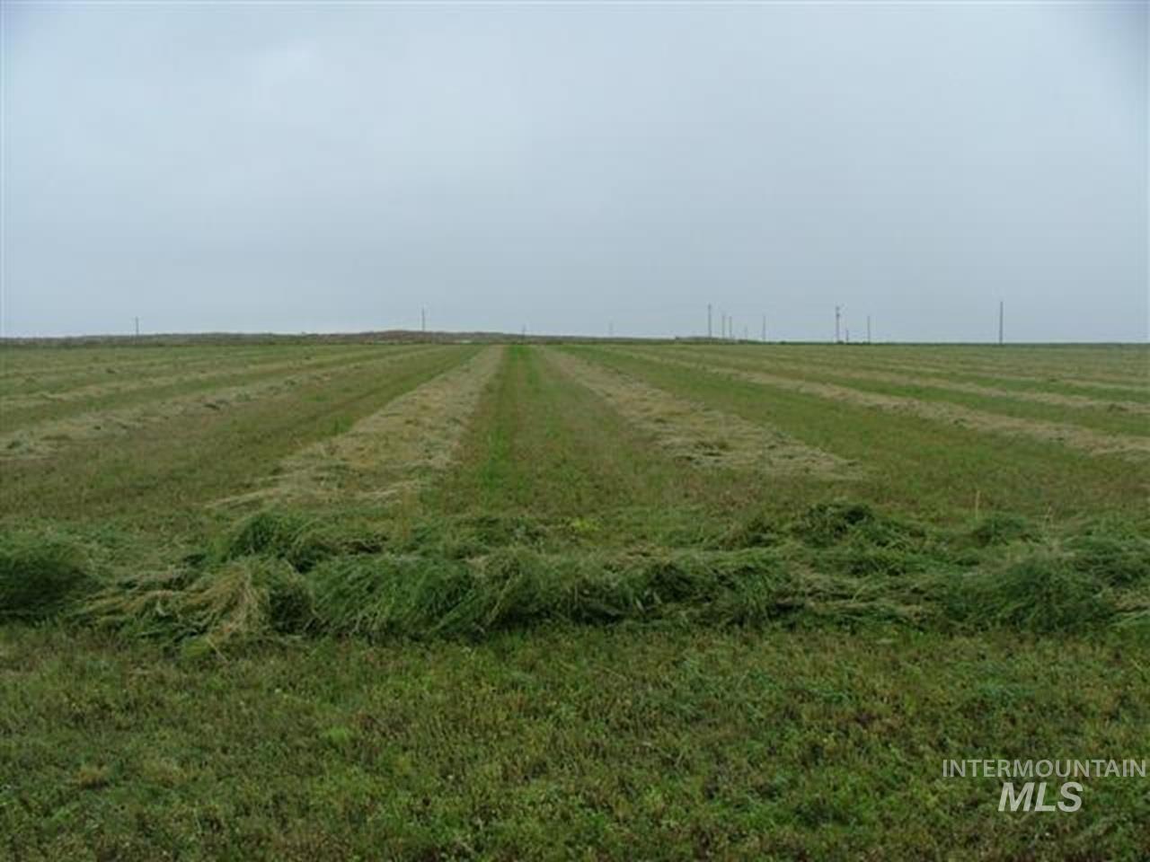 721 Mendiola, Nyssa, Oregon 97913, 3 Bedrooms, 1 Bathroom, Farm & Ranch For Sale, Price $1,100,000,MLS 98983099