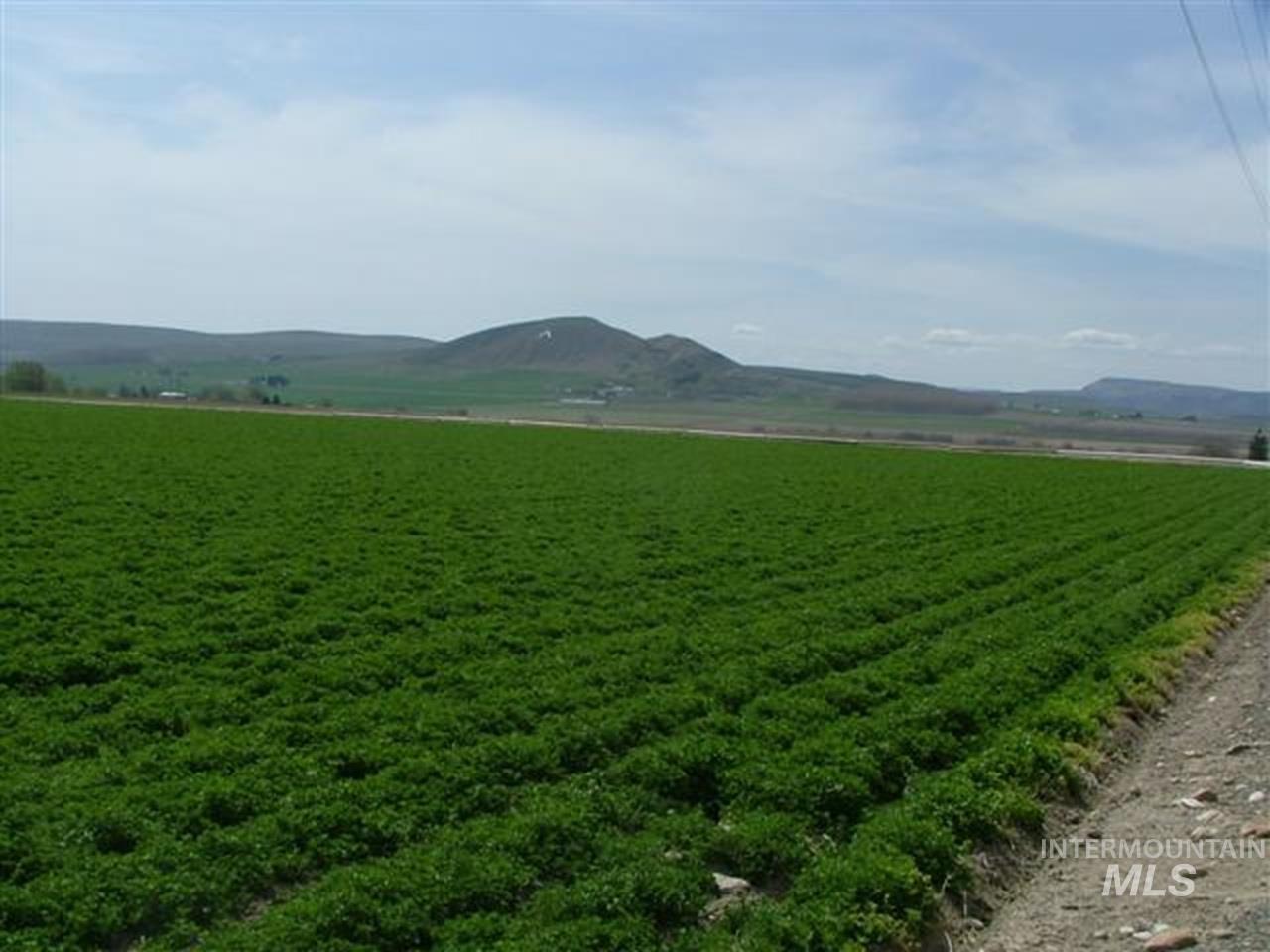 721 Mendiola, Nyssa, Oregon 97913, 3 Bedrooms, 1 Bathroom, Farm & Ranch For Sale, Price $1,100,000,MLS 98983099