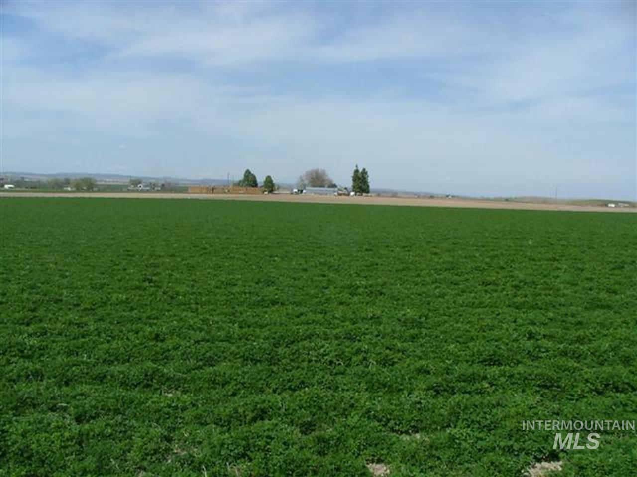 721 Mendiola, Nyssa, Oregon 97913, 3 Bedrooms, 1 Bathroom, Farm & Ranch For Sale, Price $1,100,000,MLS 98983099