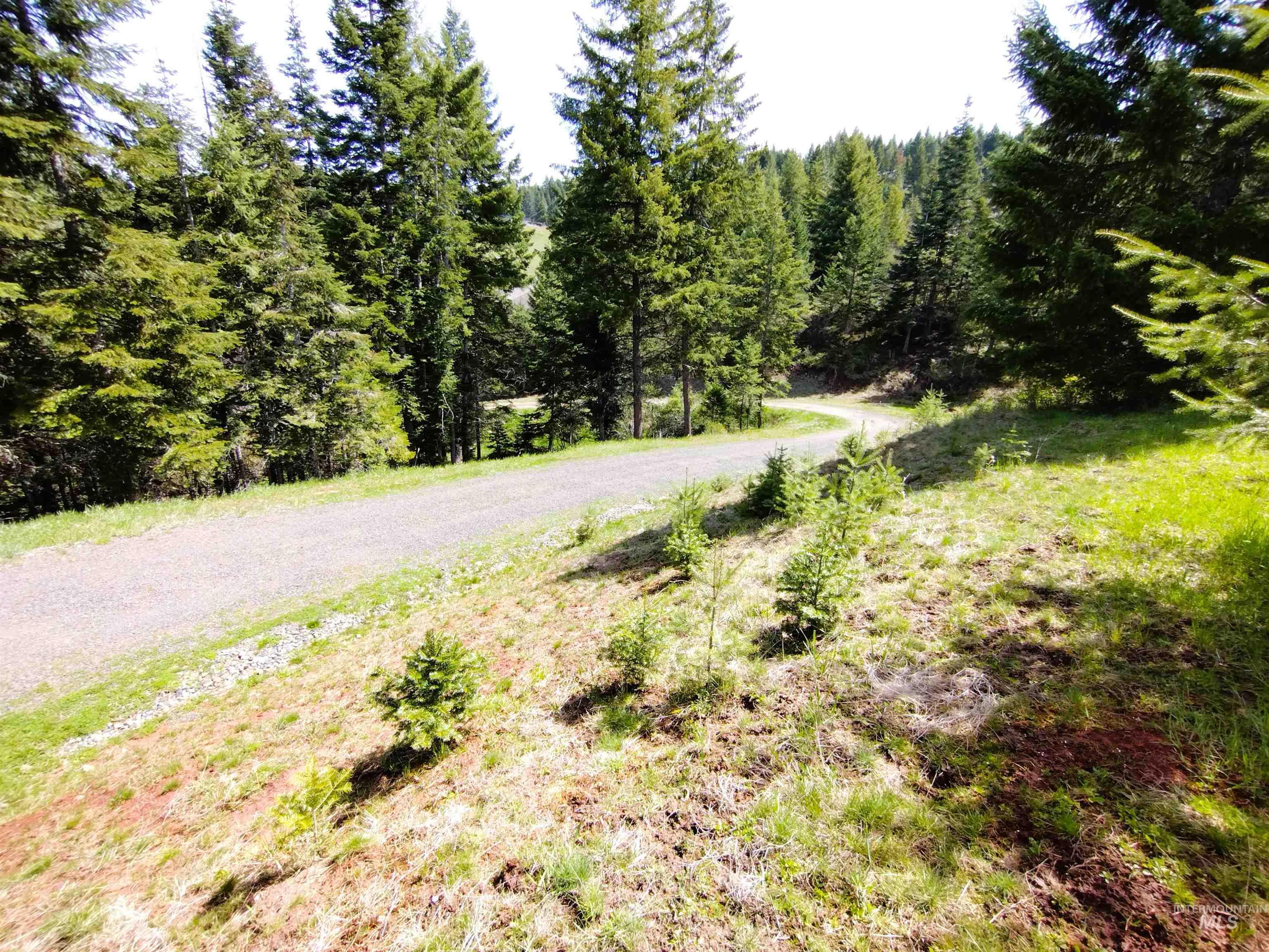 142 Shenandoah 3rd. St, Kamiah, Idaho 83536, 3 Bedrooms, 2 Bathrooms, Residential For Sale, Price $396,900,MLS 98983101
