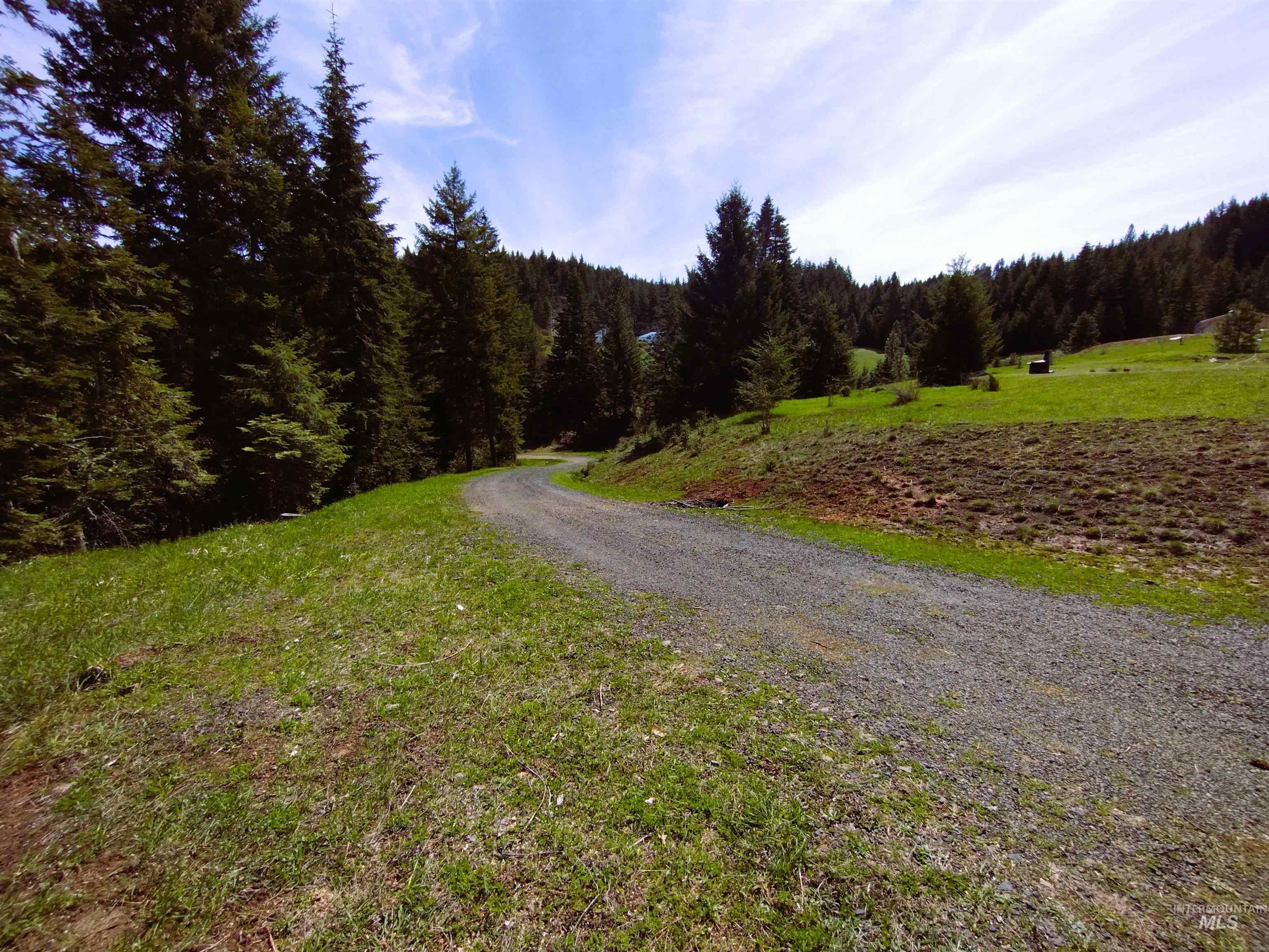 142 Shenandoah 3rd. St, Kamiah, Idaho 83536, 3 Bedrooms, 2 Bathrooms, Residential For Sale, Price $396,900,MLS 98983101