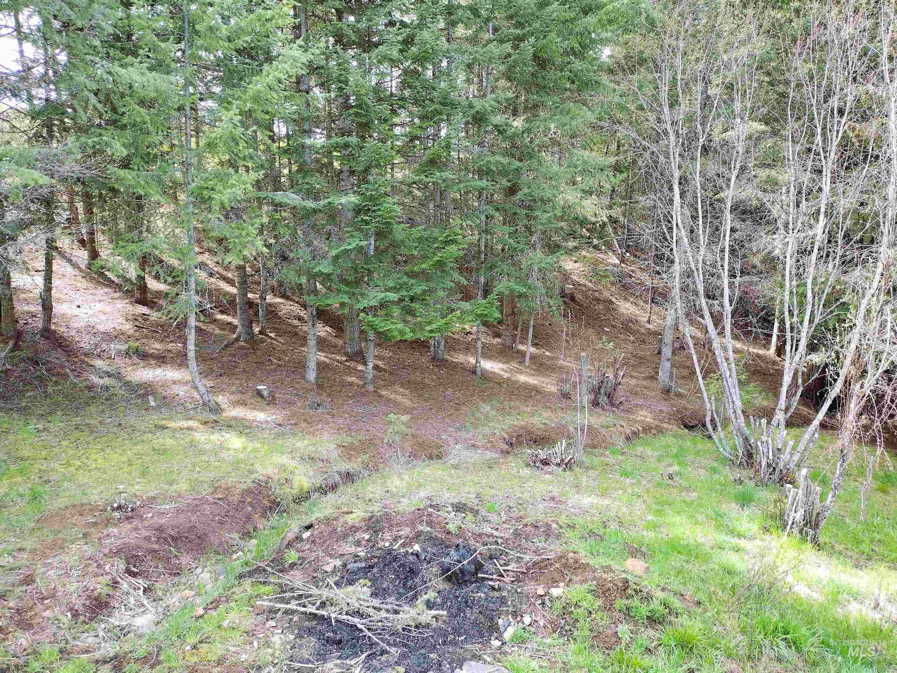 142 Shenandoah 3rd. St, Kamiah, Idaho 83536, 3 Bedrooms, 2 Bathrooms, Residential For Sale, Price $396,900,MLS 98983101