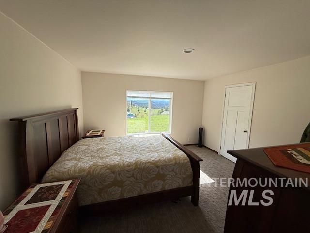 142 Shenandoah 3rd. St, Kamiah, Idaho 83536, 3 Bedrooms, 2 Bathrooms, Residential For Sale, Price $396,900,MLS 98983101