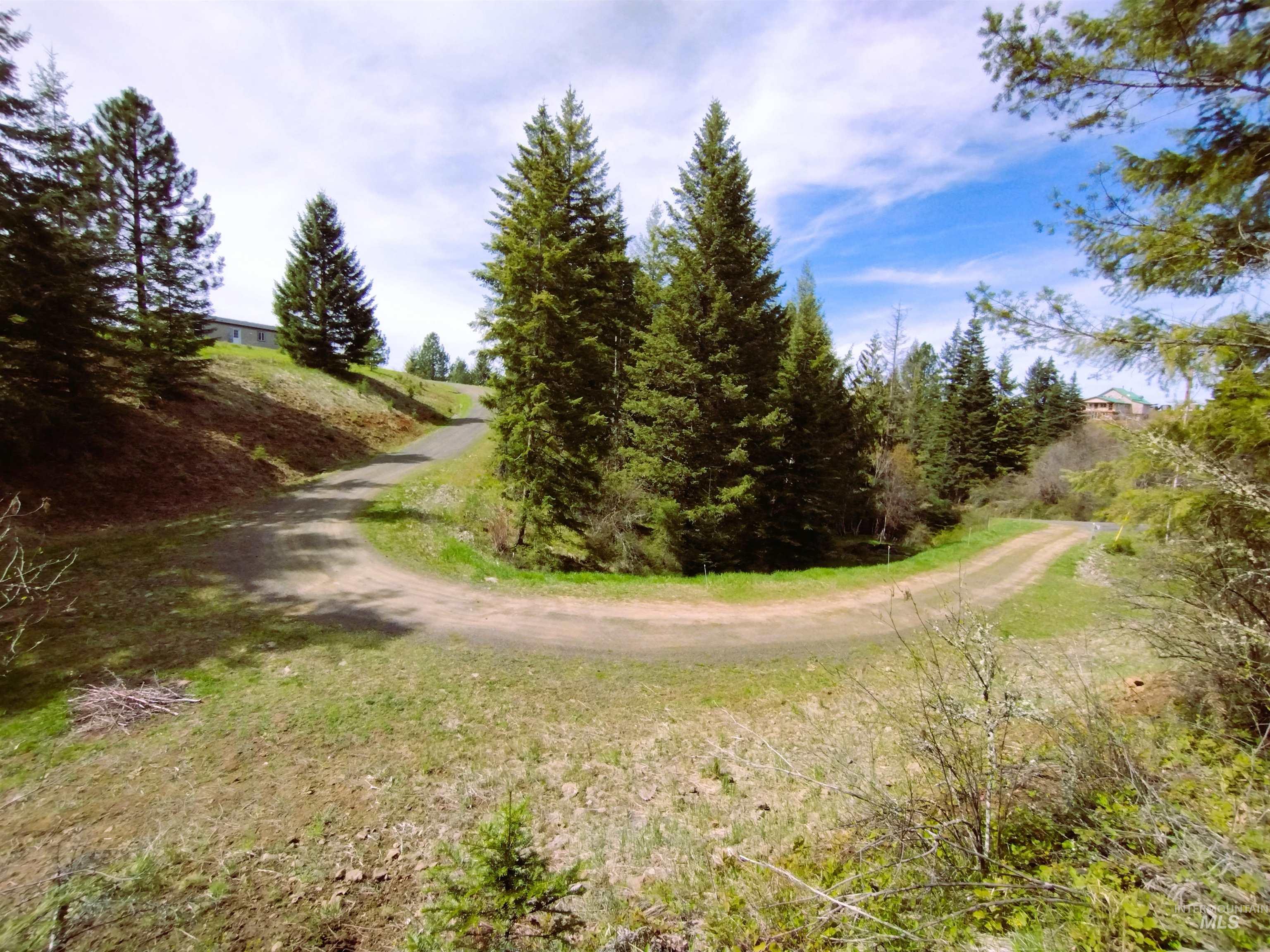 142 Shenandoah 3rd. St, Kamiah, Idaho 83536, 3 Bedrooms, 2 Bathrooms, Residential For Sale, Price $396,900,MLS 98983101