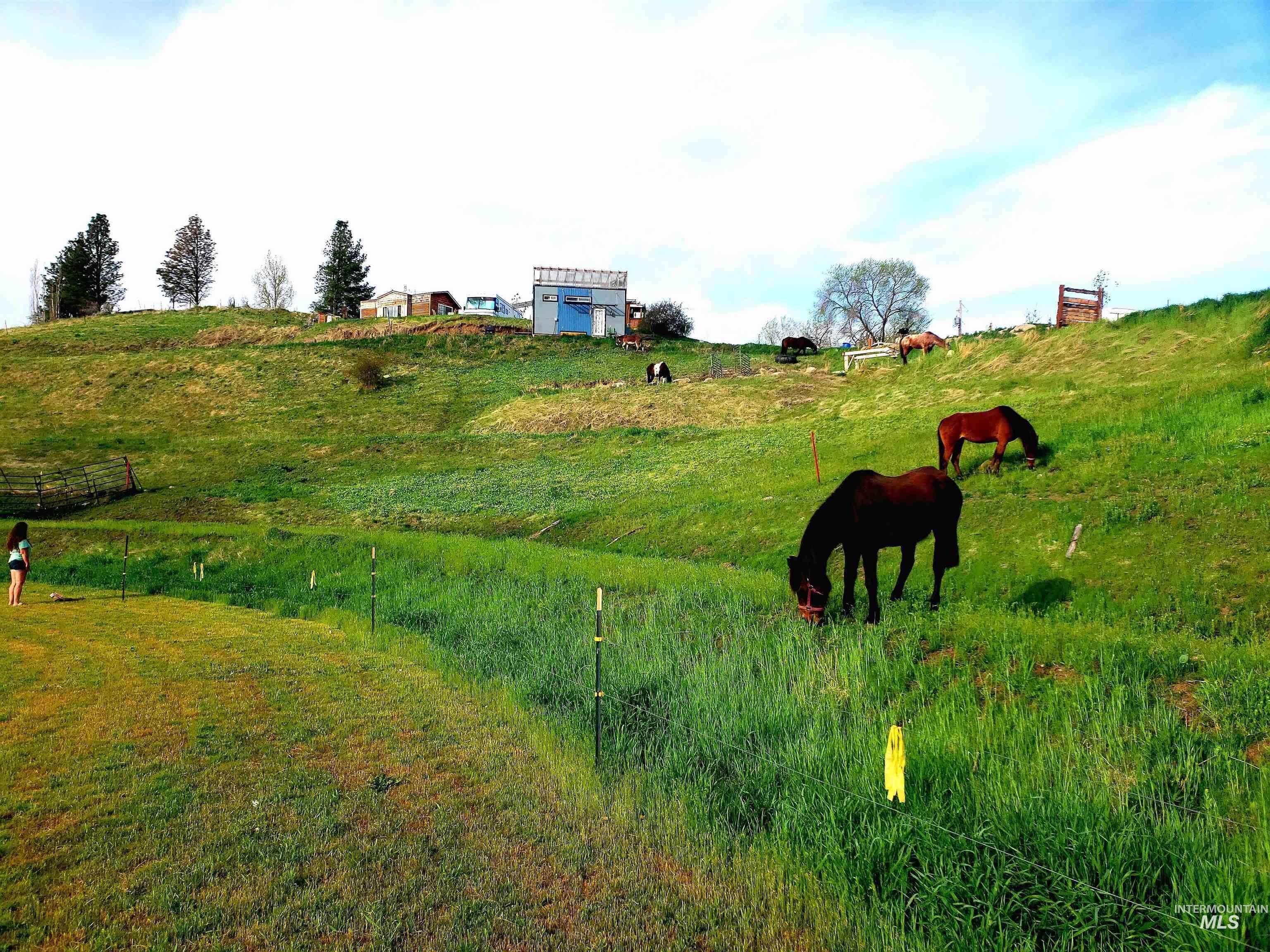 28 Harris Creek Rd, Horseshoe Bend, Idaho 83629, 2 Bedrooms, 1 Bathroom, Residential Income For Sale, Price $3,300,000,MLS 98983106