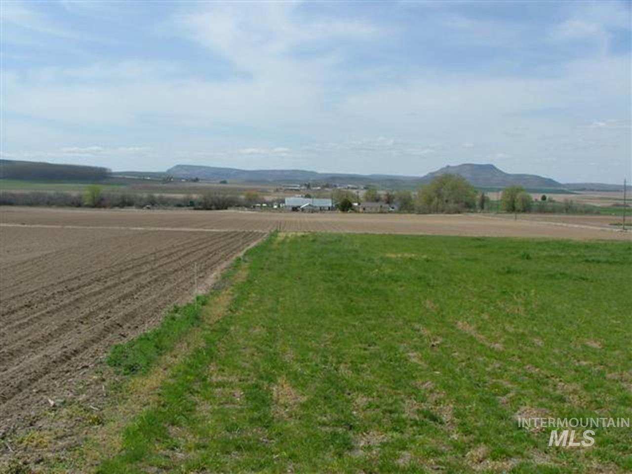 721 Mendiola Rd, Nyssa, Oregon 97913, 3 Bedrooms, 1 Bathroom, Residential For Sale, Price $1,100,000,MLS 98983108