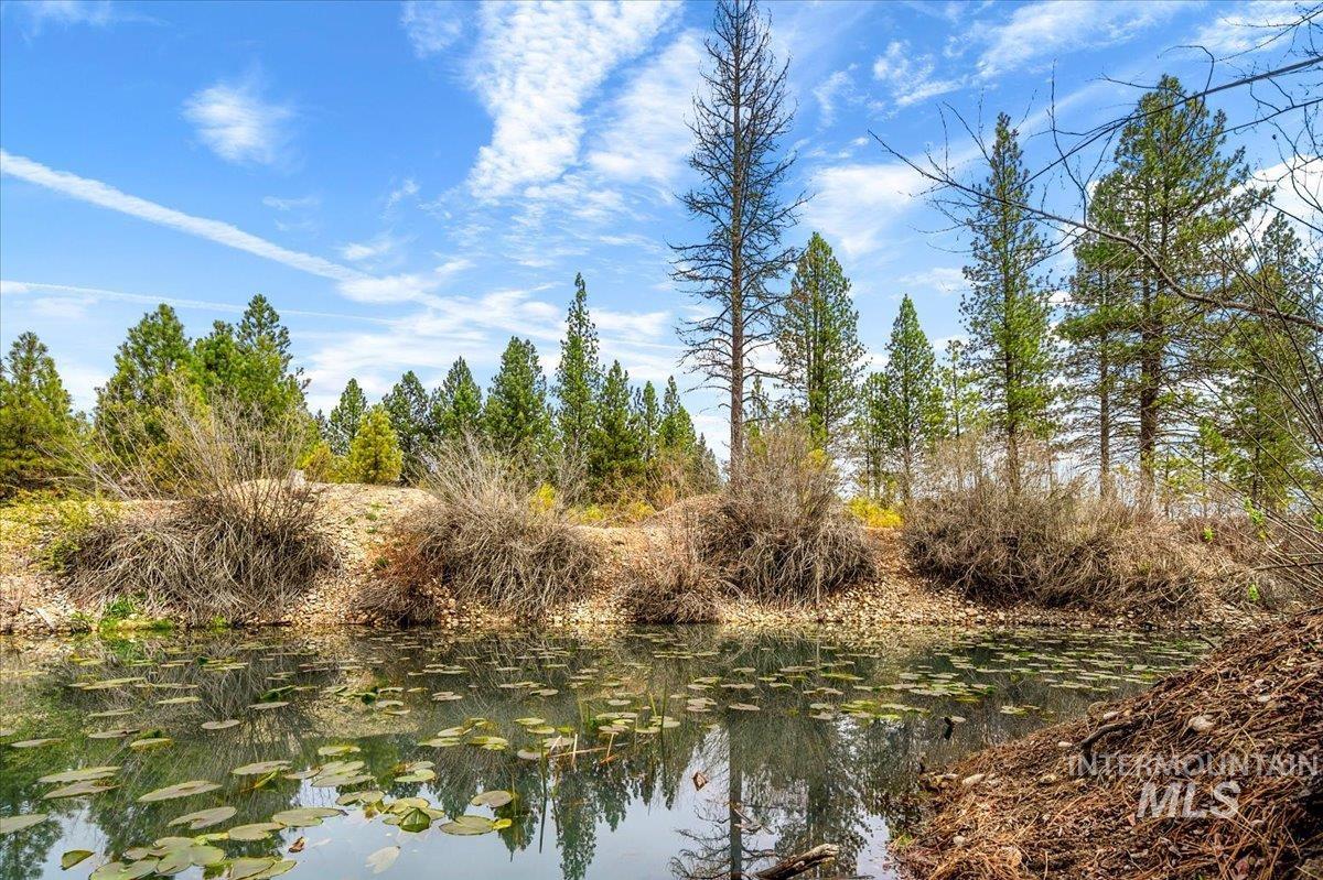 29 McIntyre Gulch Rd, Idaho City, Idaho 83631, 2 Bedrooms, 2.5 Bathrooms, Residential For Sale, Price $639,000, 98983134