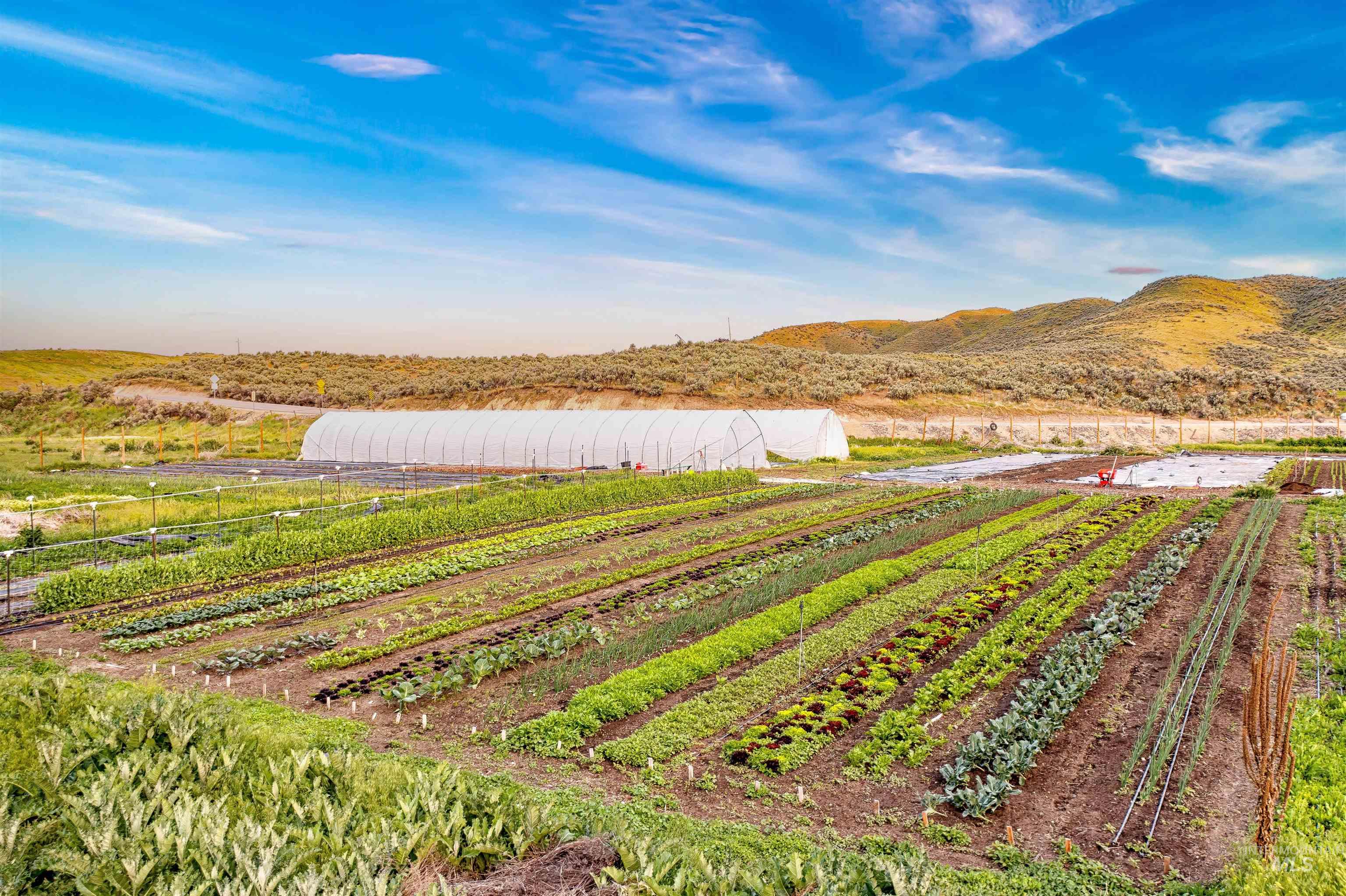 13639 N Ruffed Grouse Way, Boise, Idaho 83714, 4 Bedrooms, 3 Bathrooms, Residential For Sale, Price $1,315,000,MLS 98983218