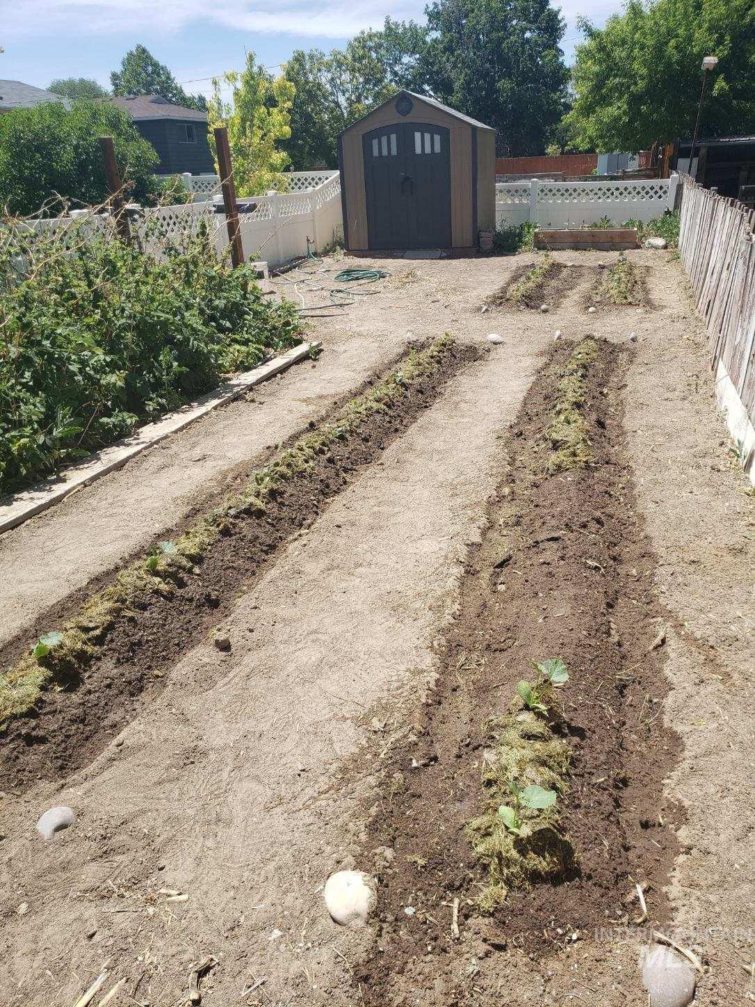 1969 9th Ave E, Twin Falls, Idaho 83301, 4 Bedrooms, 2 Bathrooms, Residential For Sale, Price $350,000,MLS 98983240