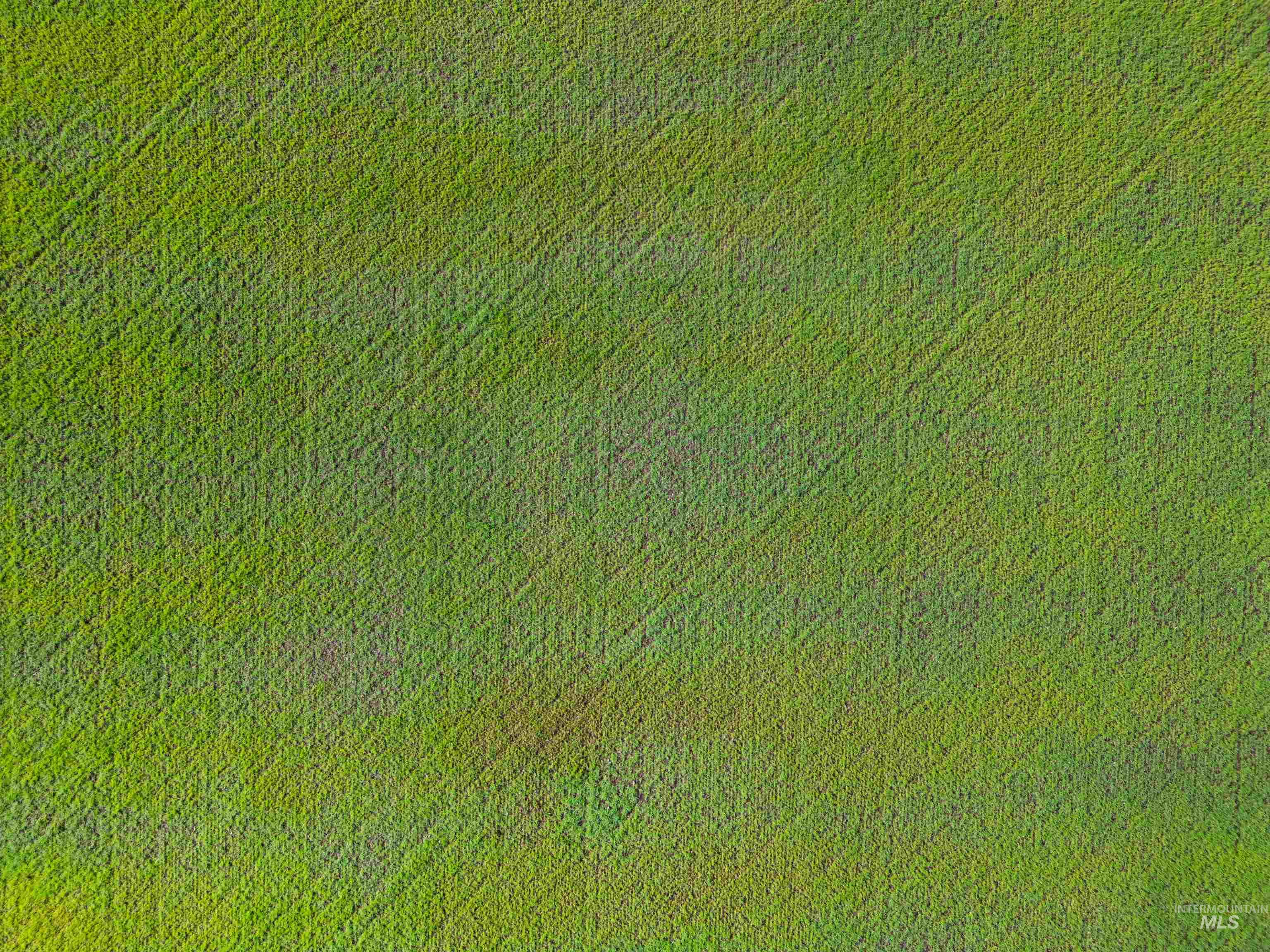 Lot 2 Gill Point Road, Grangeville, Idaho 83530, Land For Sale, Price $185,000, 98983253