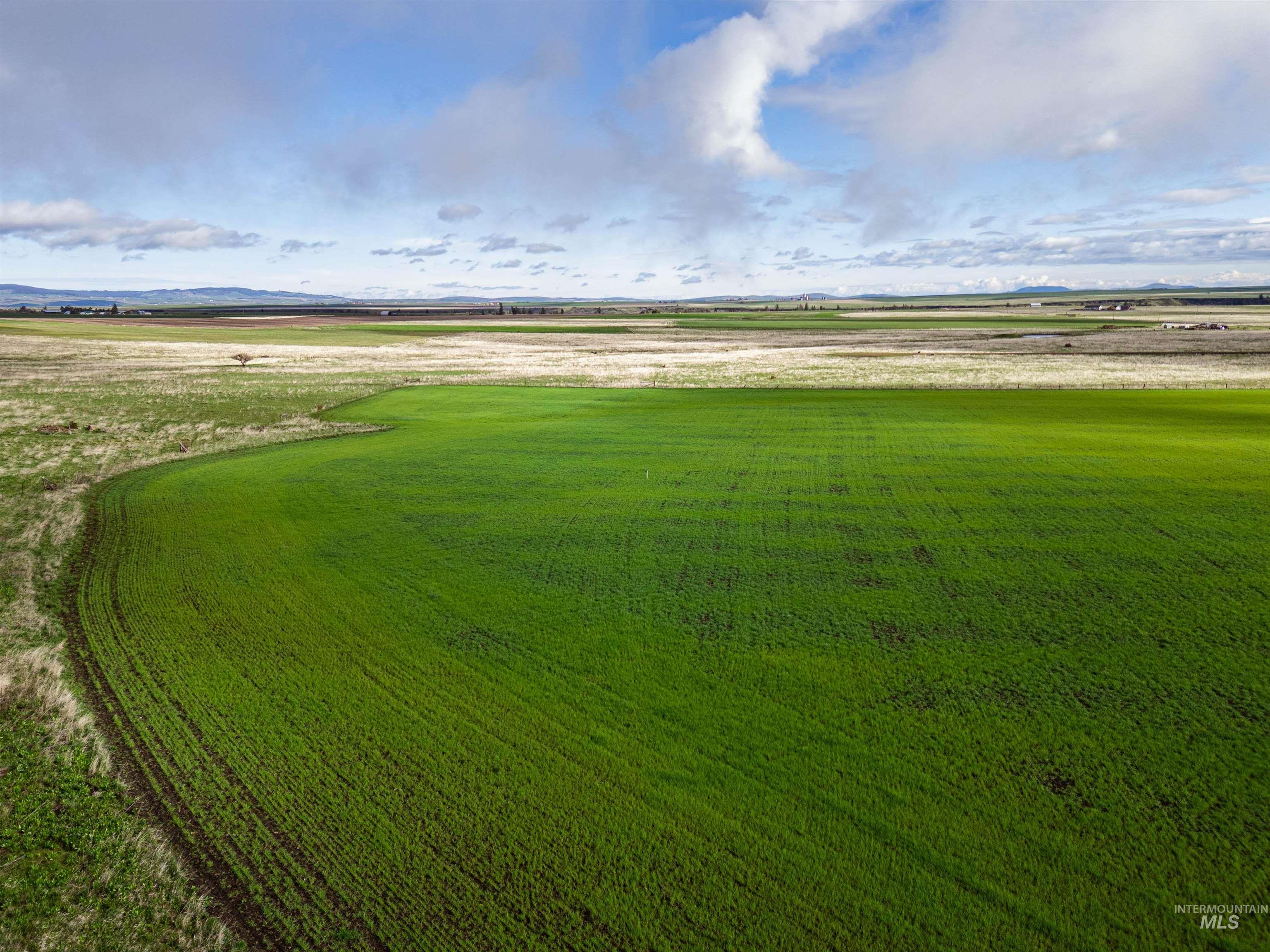 Lot 2 Gill Point Road, Grangeville, Idaho 83530, Land For Sale, Price $185,000, 98983253