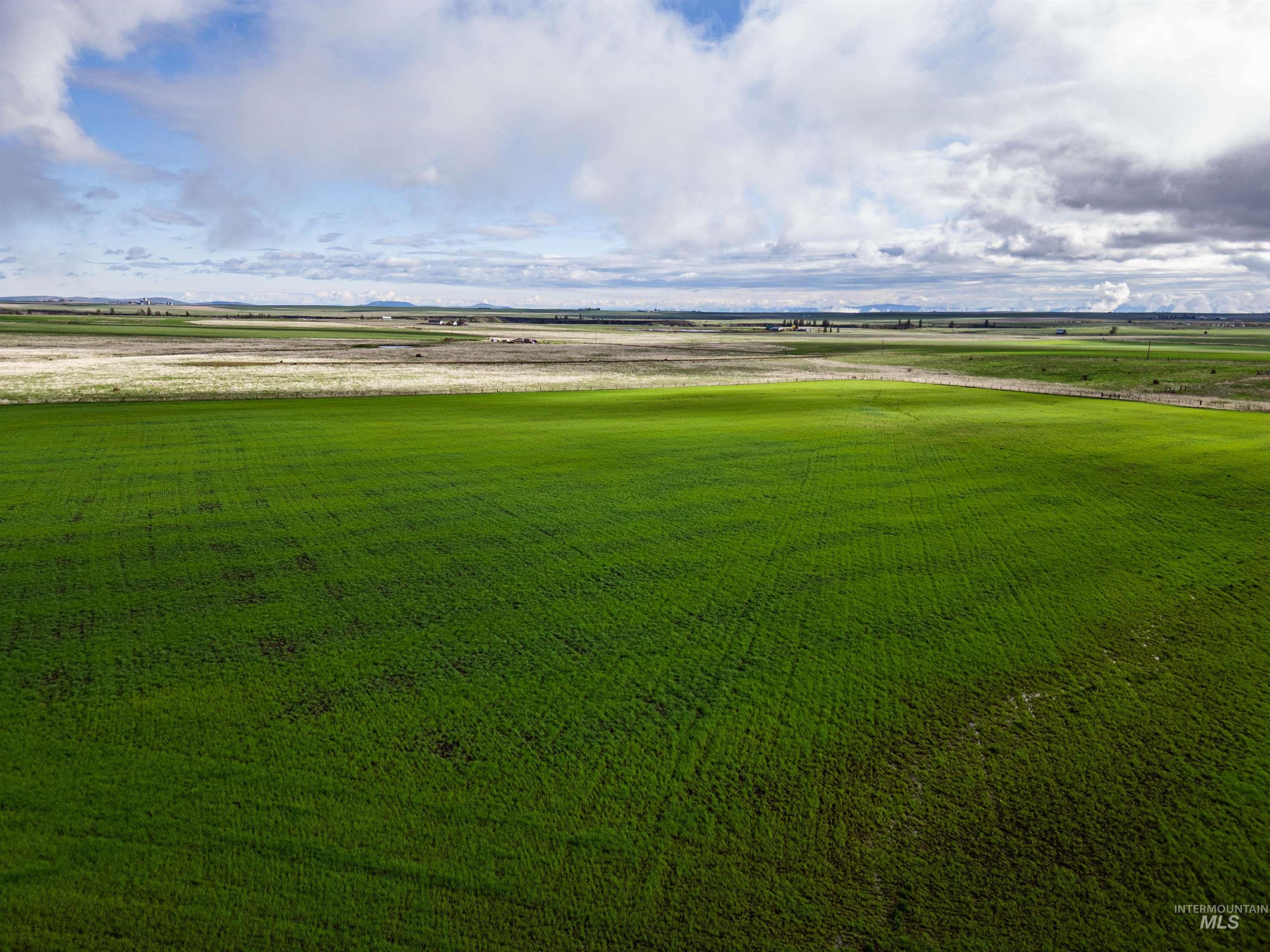 Lot 2 Gill Point Road, Grangeville, Idaho 83530, Land For Sale, Price $185,000, 98983253