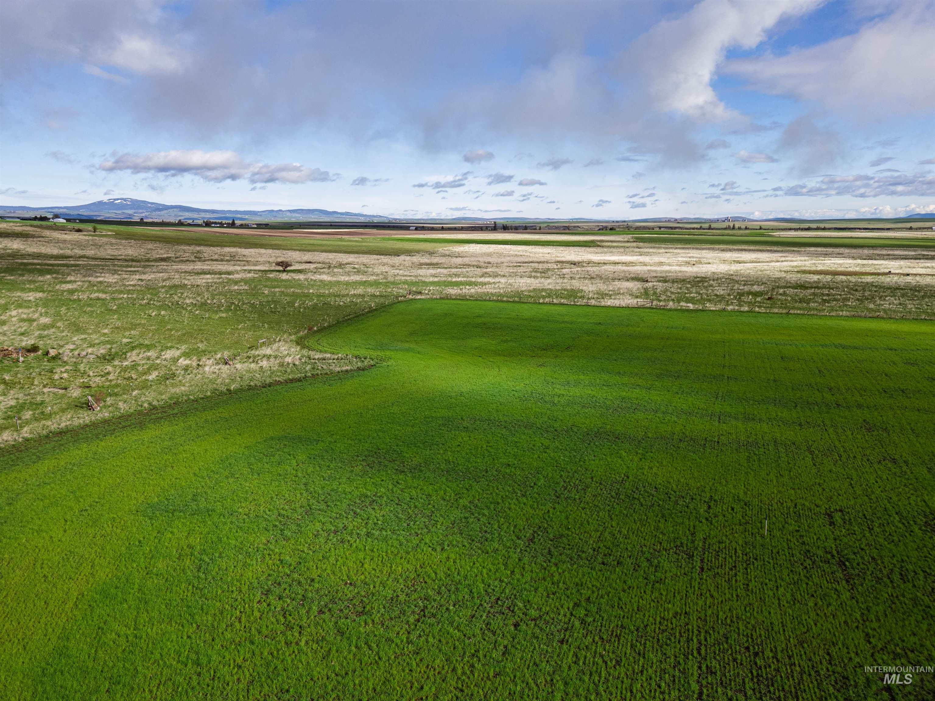 Lot 2 Gill Point Road, Grangeville, Idaho 83530, Land For Sale, Price $185,000, 98983253