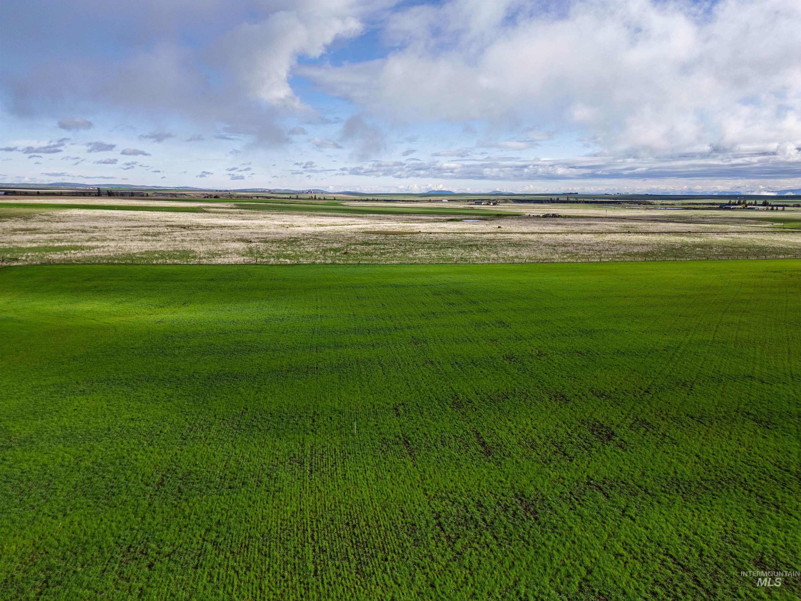 Lot 2 Gill Point Road, Grangeville, Idaho 83530, Land For Sale, Price $185,000, 98983253