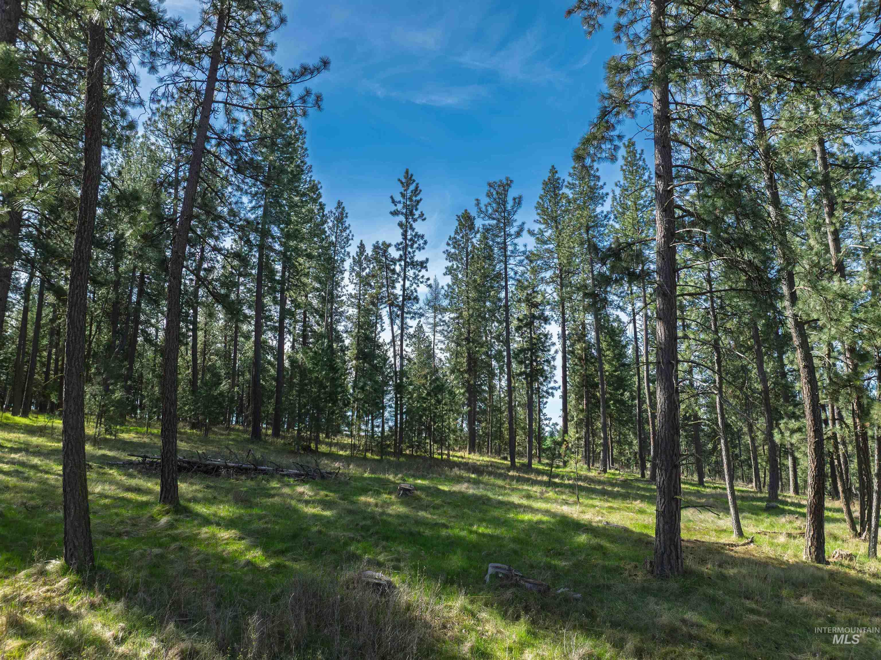 TBD Hwy 95, Potlatch, Idaho 83855, Land For Sale, Price $325,000, 98983267