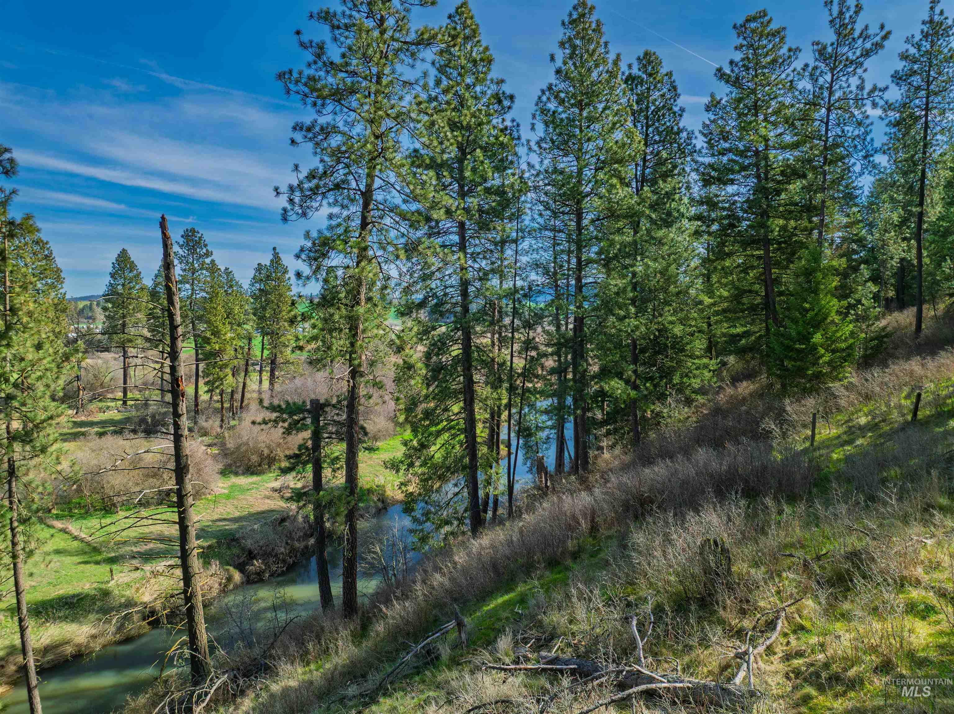 TBD Hwy 95, Potlatch, Idaho 83855, Land For Sale, Price $325,000, 98983267