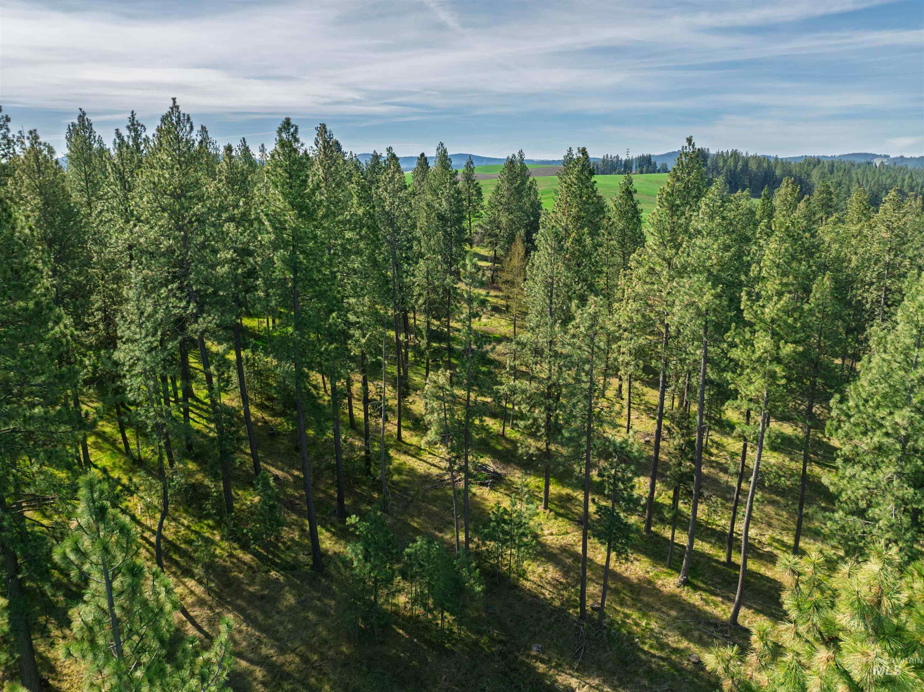 TBD Hwy 95, Potlatch, Idaho 83855, Land For Sale, Price $325,000, 98983267