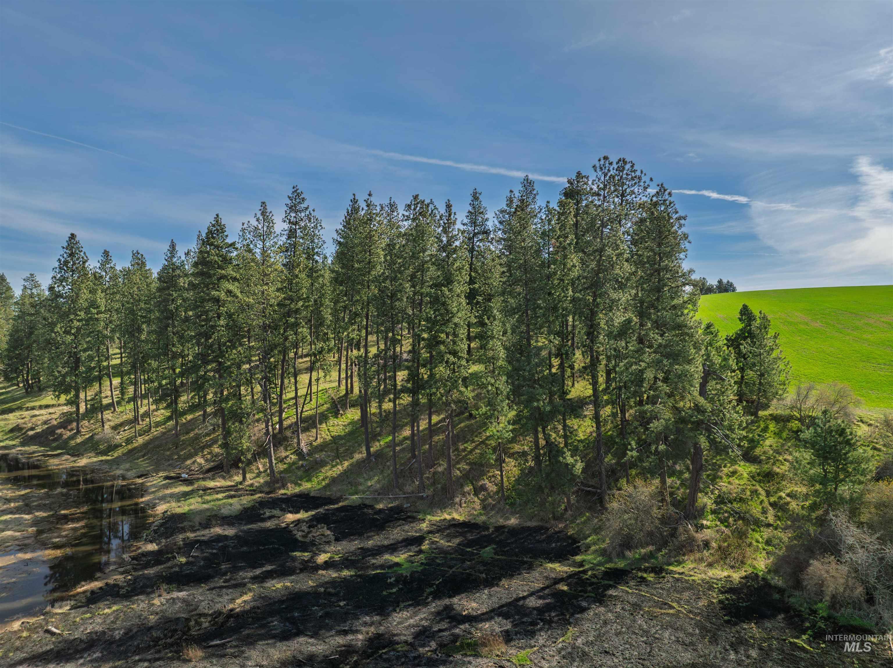 TBD Hwy 95, Potlatch, Idaho 83855, Land For Sale, Price $325,000, 98983267