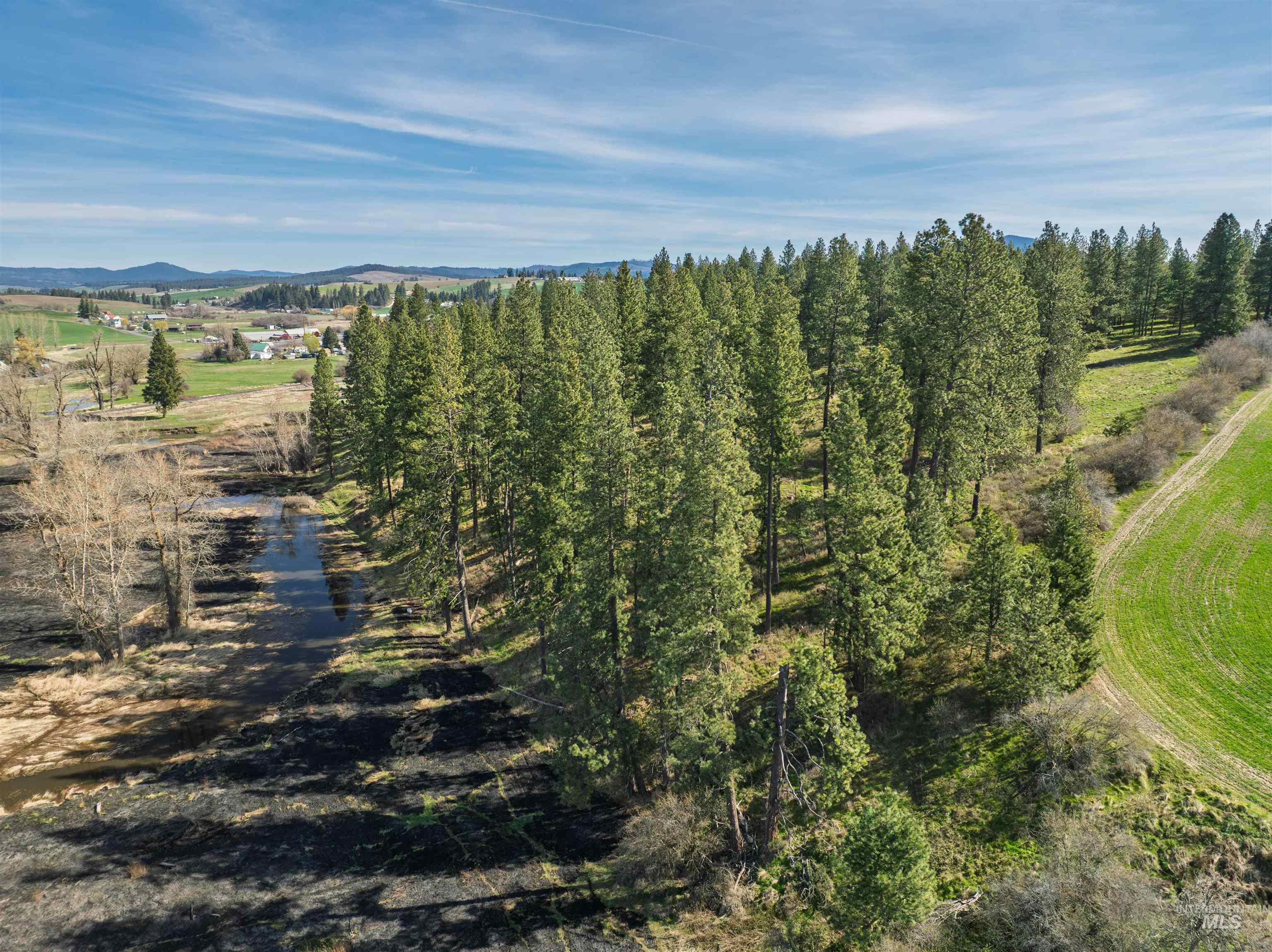TBD Hwy 95, Potlatch, Idaho 83855, Land For Sale, Price $325,000, 98983267