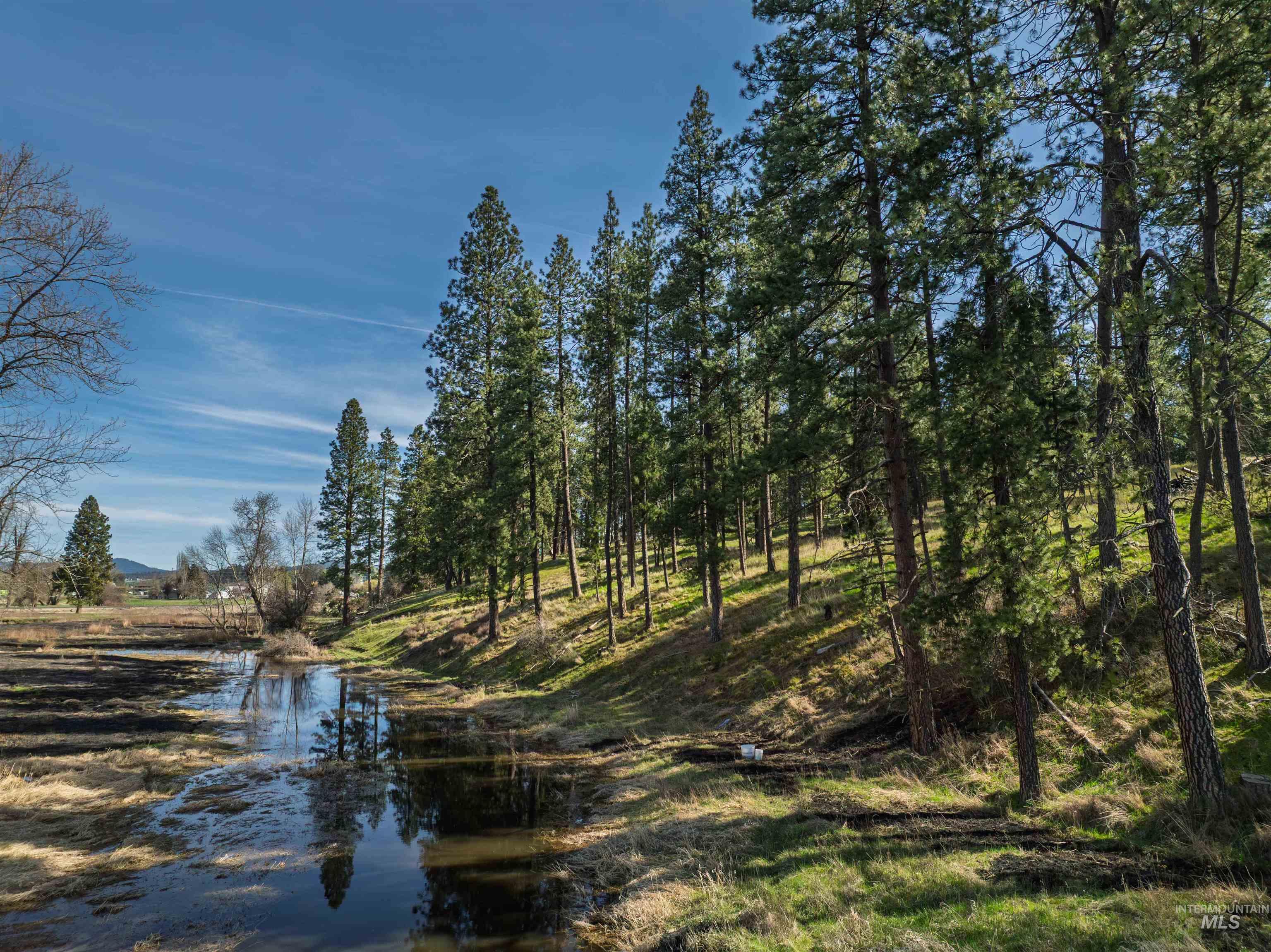 TBD Hwy 95, Potlatch, Idaho 83855, Land For Sale, Price $325,000, 98983267