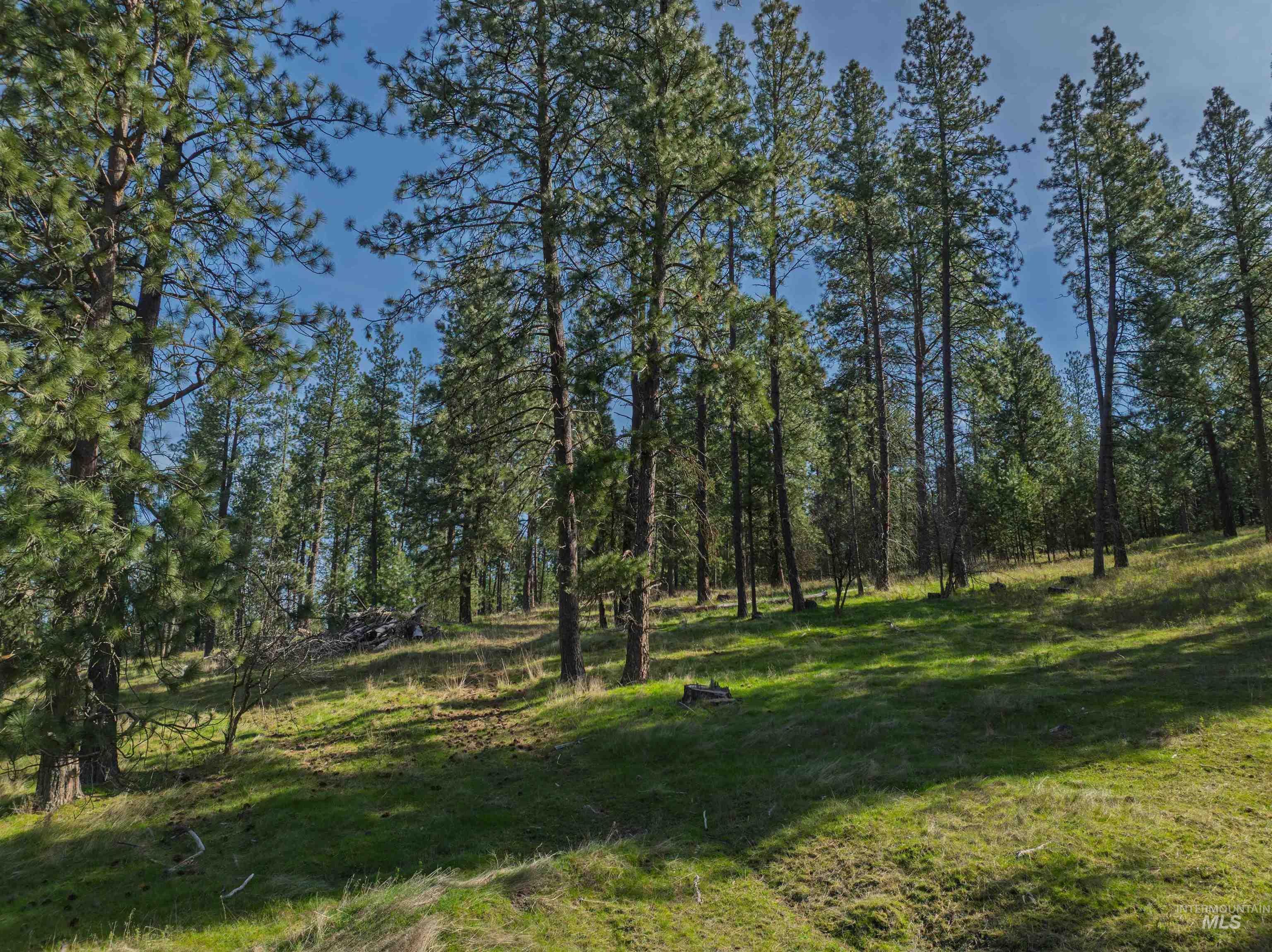 TBD Hwy 95, Potlatch, Idaho 83855, Land For Sale, Price $325,000, 98983267