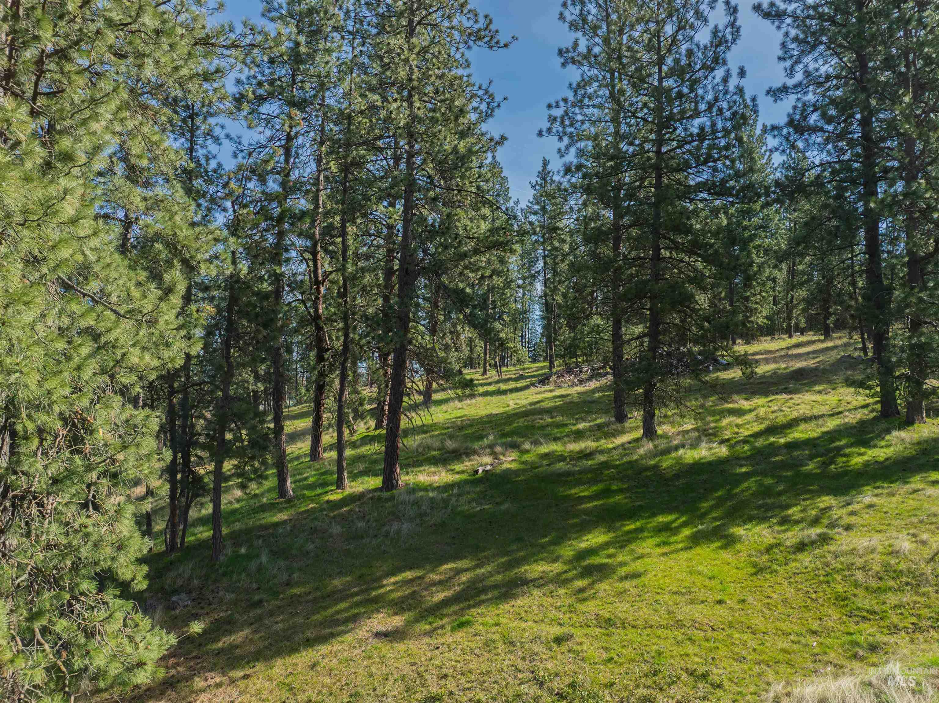 TBD Hwy 95, Potlatch, Idaho 83855, Land For Sale, Price $325,000, 98983267