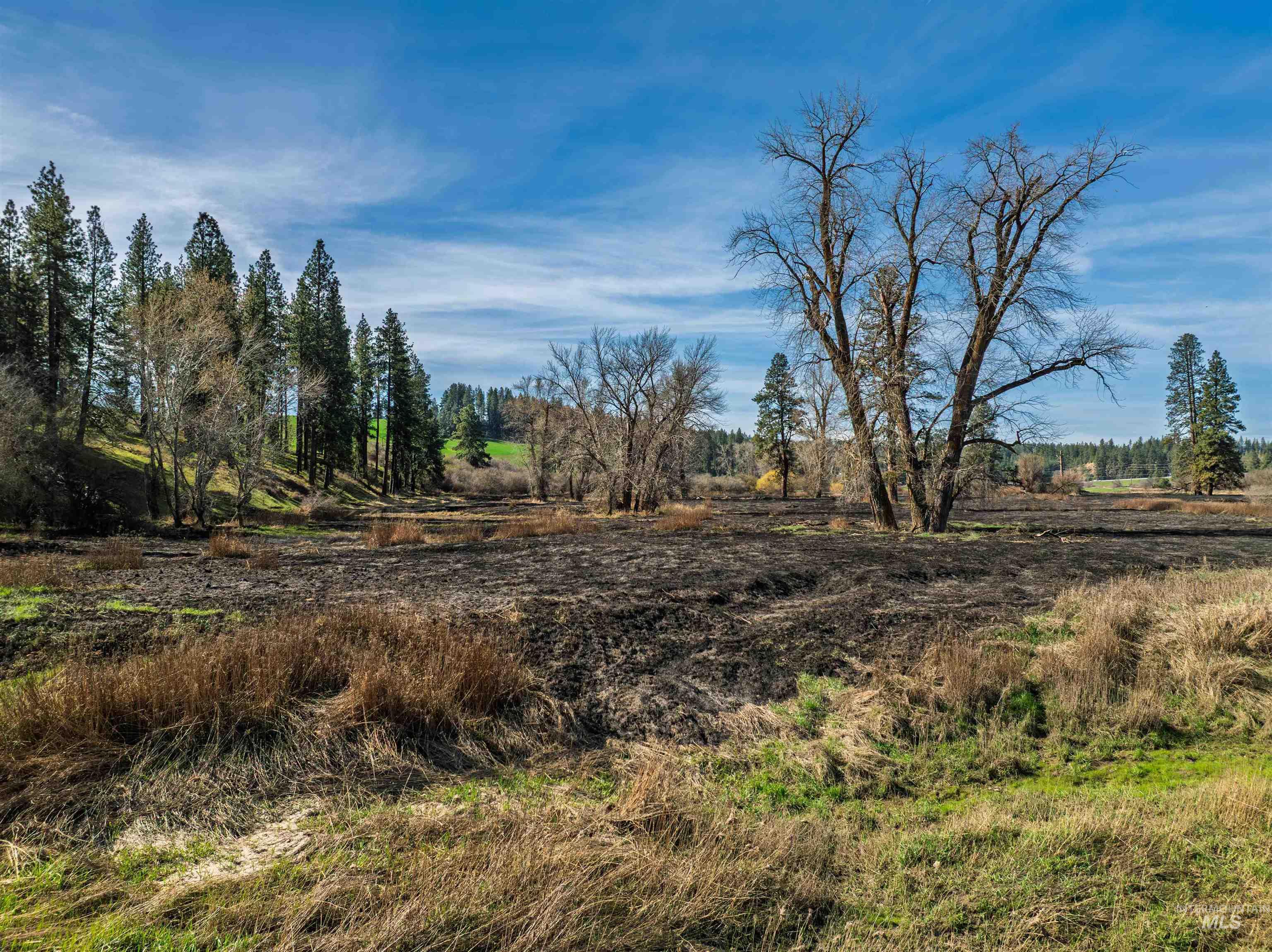 TBD Hwy 95, Potlatch, Idaho 83855, Land For Sale, Price $325,000, 98983267