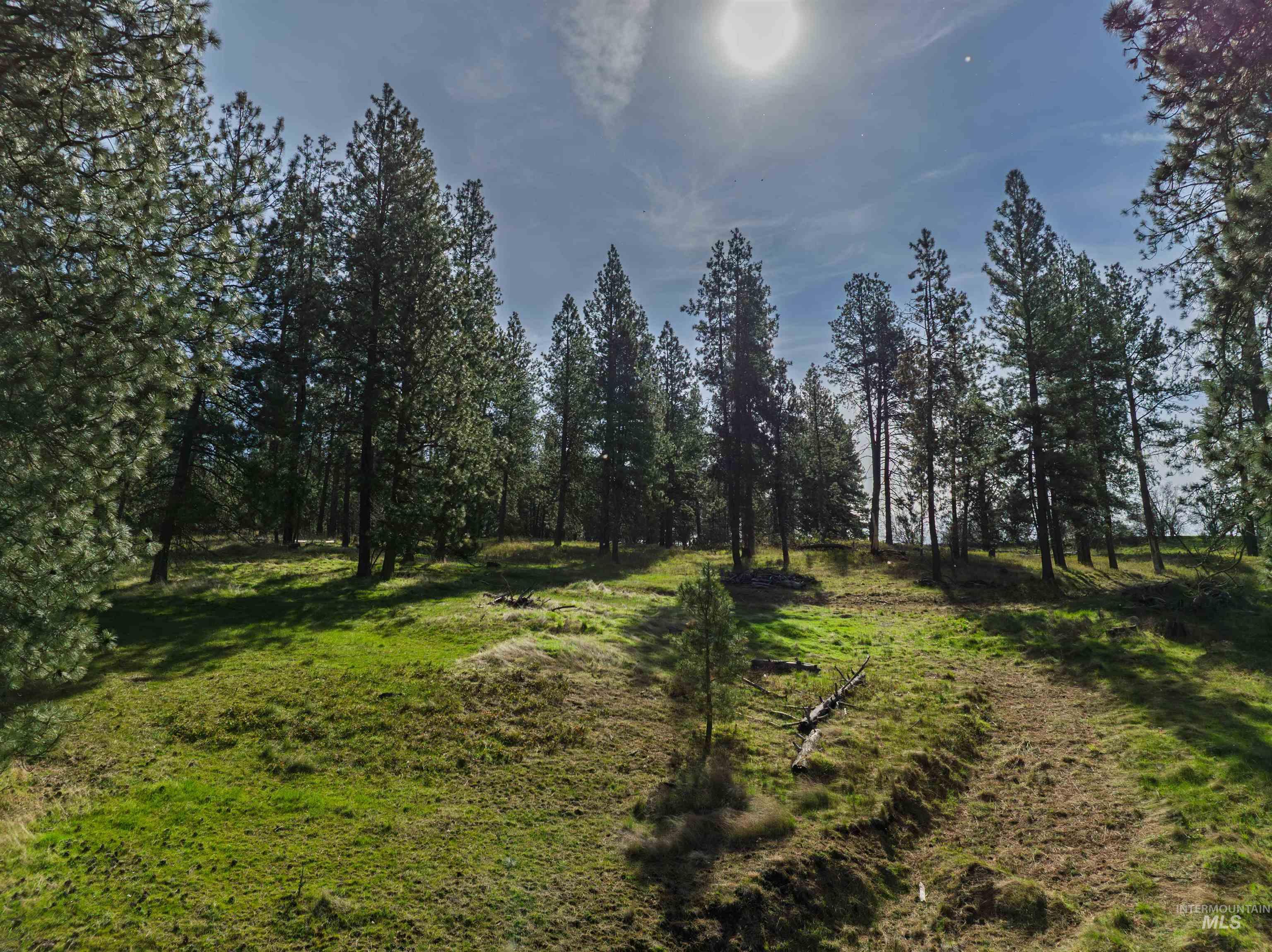 TBD Hwy 95, Potlatch, Idaho 83855, Land For Sale, Price $325,000, 98983267