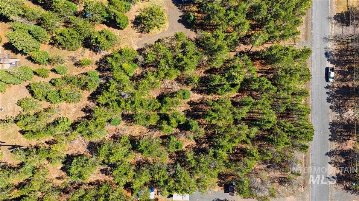 206 Edwards Ln, Donnelly, Idaho 83615, Land For Sale, Price $225,000, 98983269