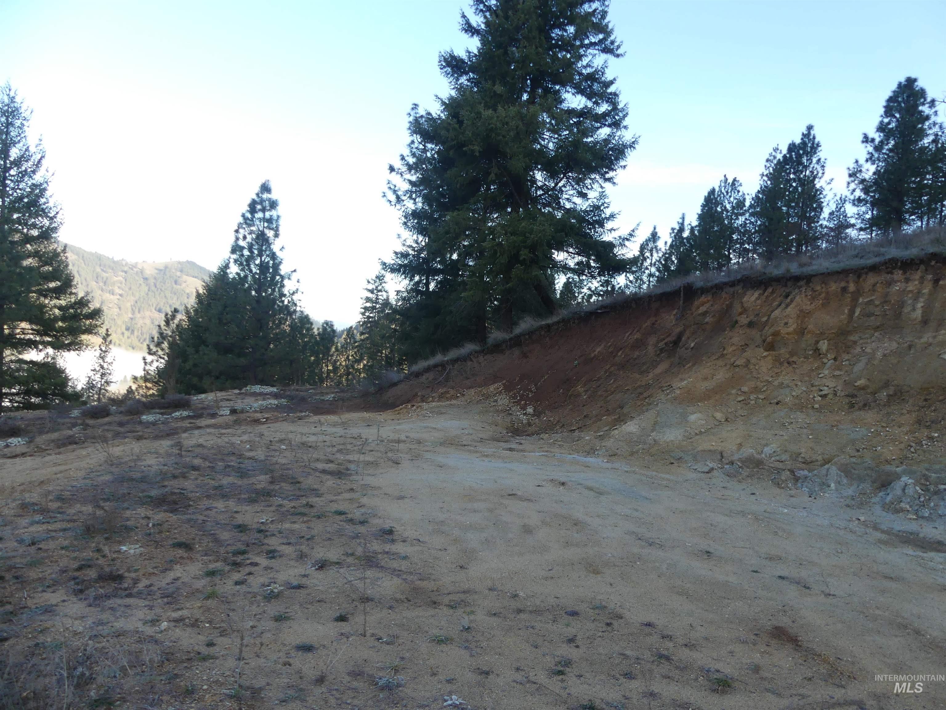 1404 Carrot Ridge Road, Greer, Idaho 83536-0000, Land For Sale, Price $245,000, 98983298