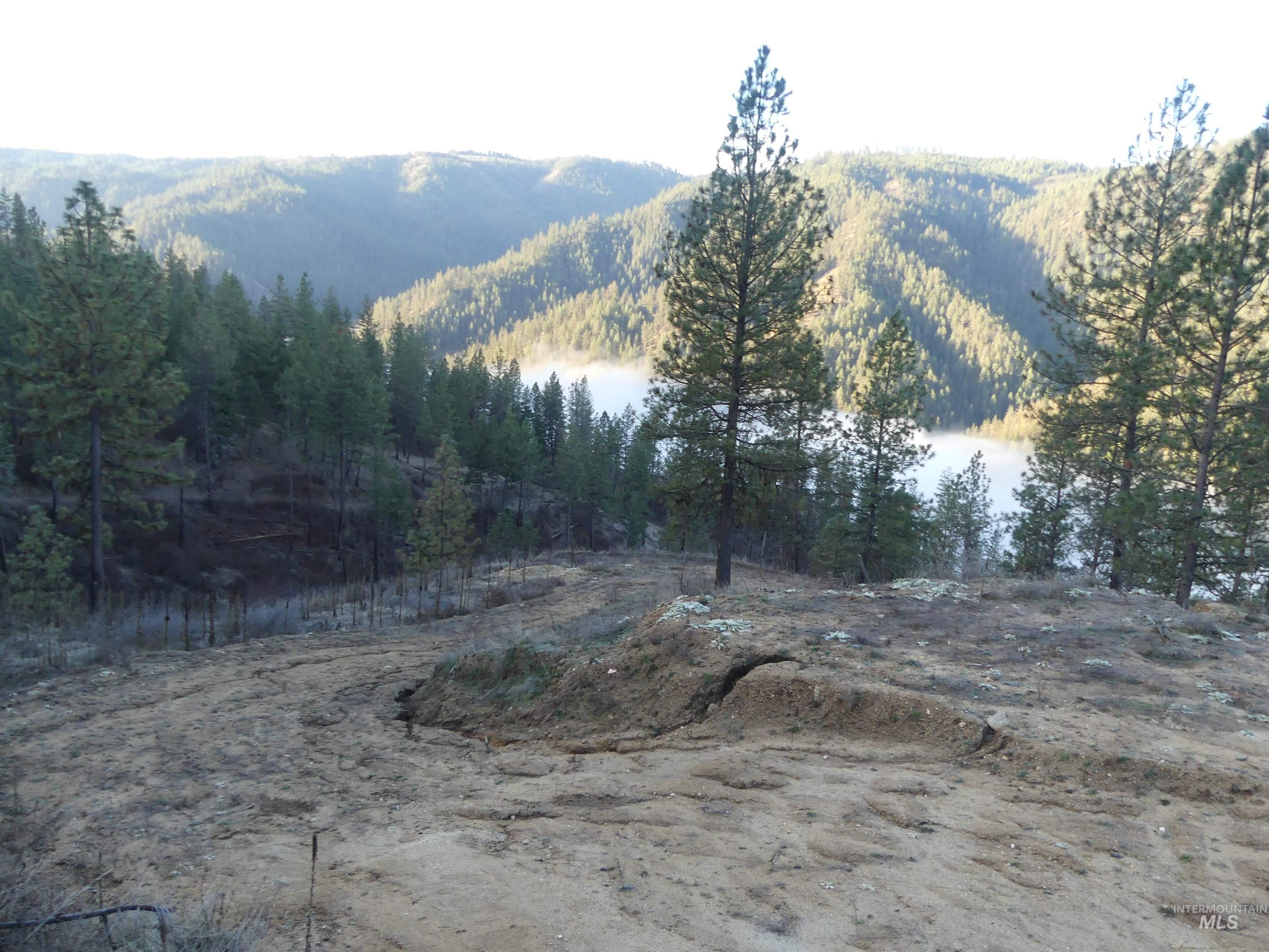 1404 Carrot Ridge Road, Greer, Idaho 83536-0000, Land For Sale, Price $245,000, 98983298