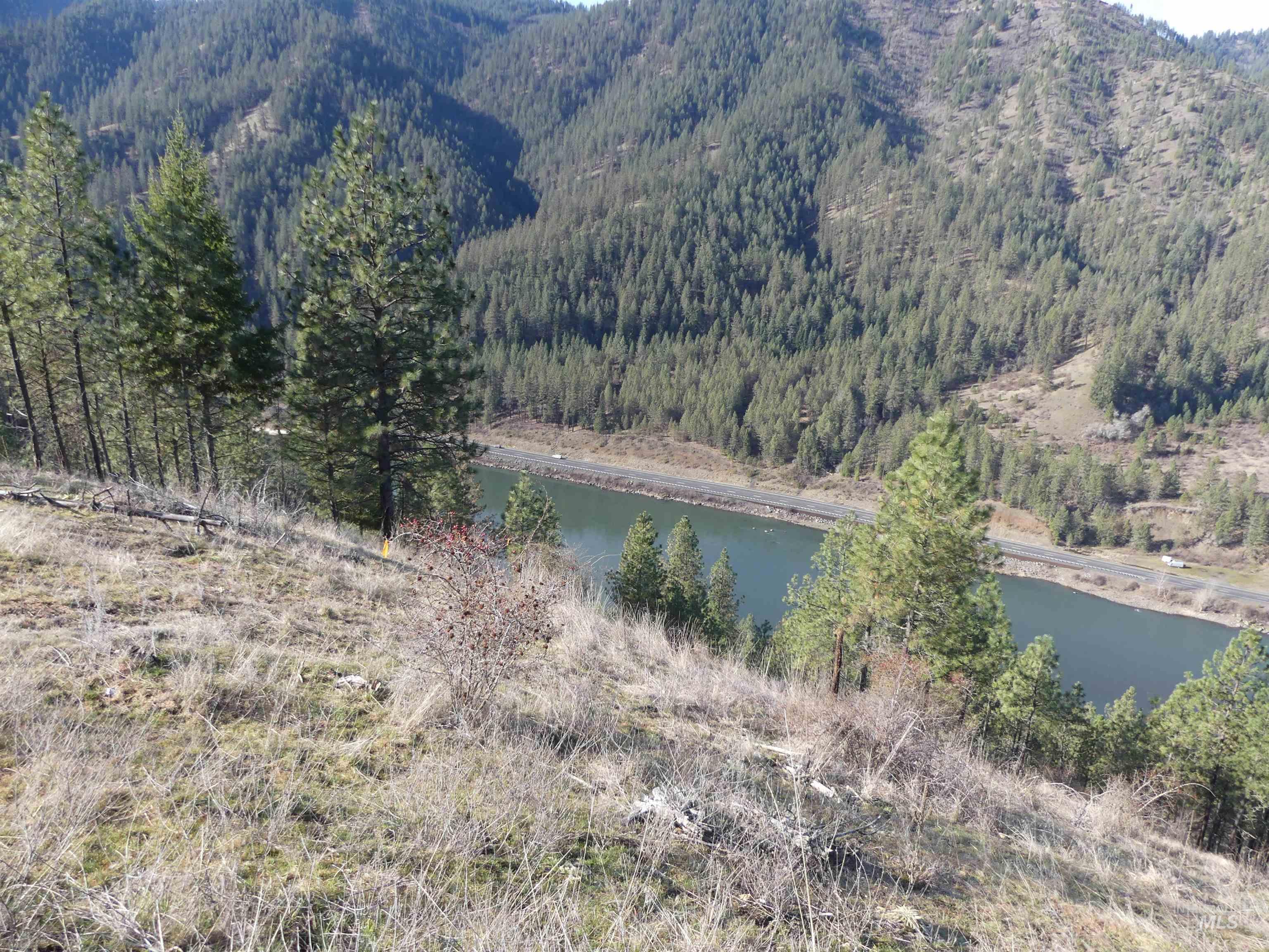 1404 Carrot Ridge Road, Greer, Idaho 83536-0000, Land For Sale, Price $245,000, 98983298