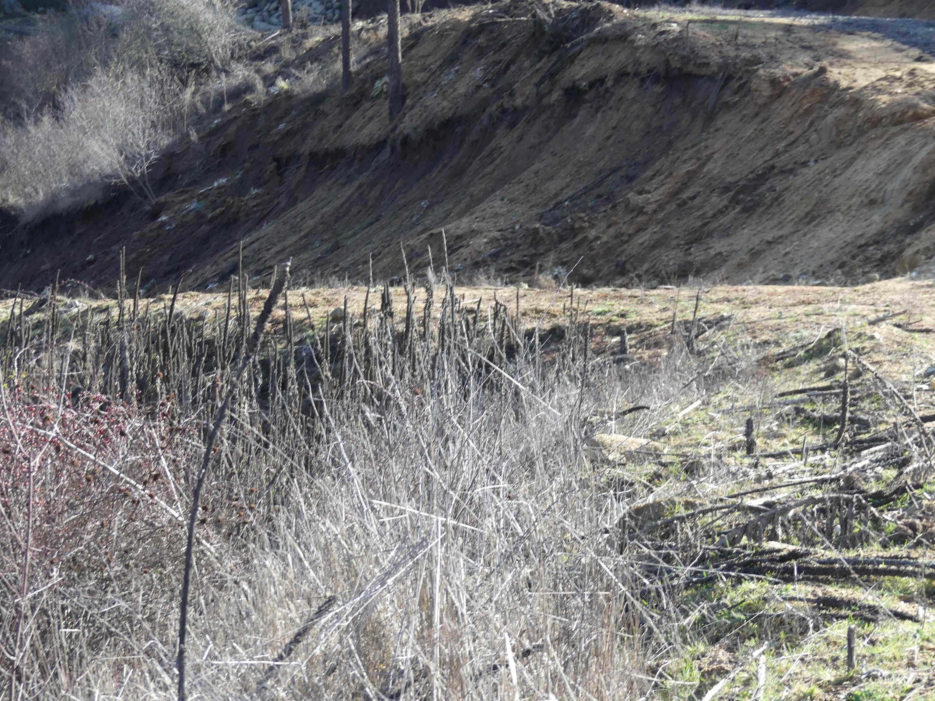 1404 Carrot Ridge Road, Greer, Idaho 83536-0000, Land For Sale, Price $245,000, 98983298
