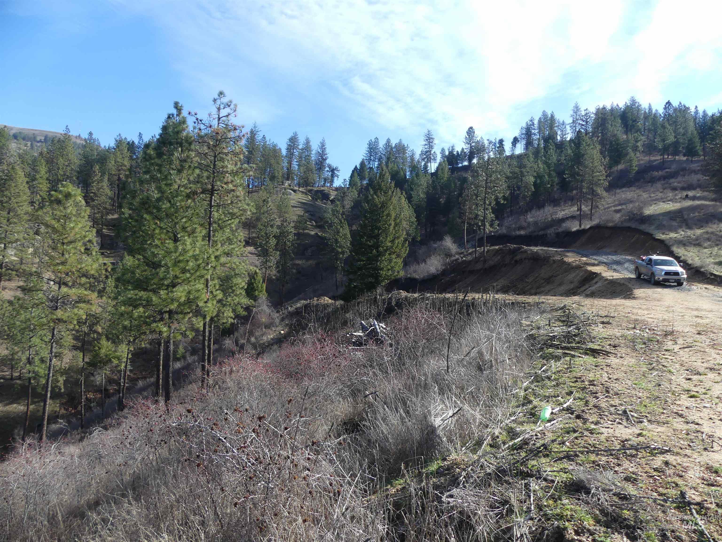 1404 Carrot Ridge Road, Greer, Idaho 83536-0000, Land For Sale, Price $245,000, 98983298
