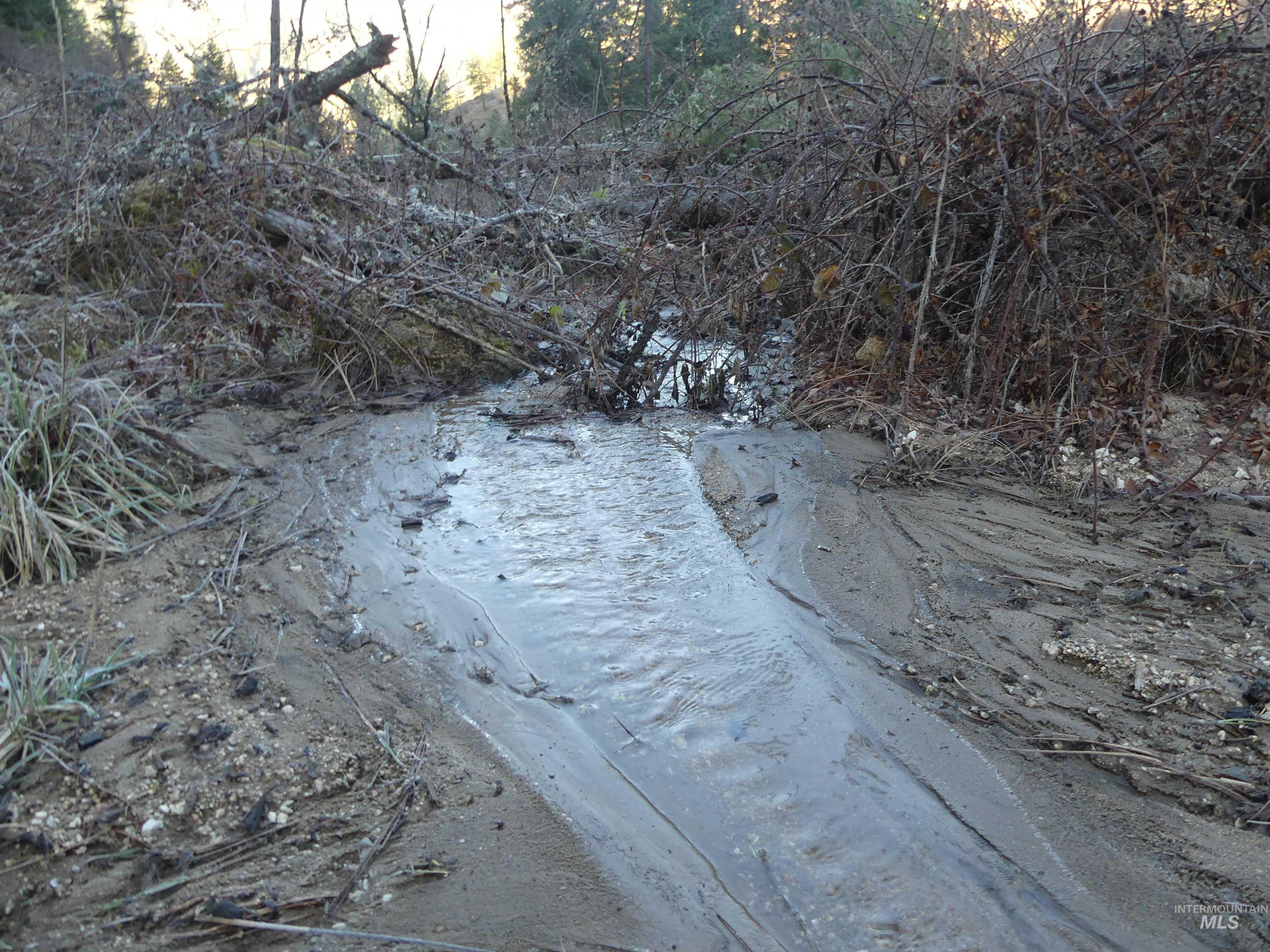 1404 Carrot Ridge Road, Greer, Idaho 83536-0000, Land For Sale, Price $245,000, 98983298